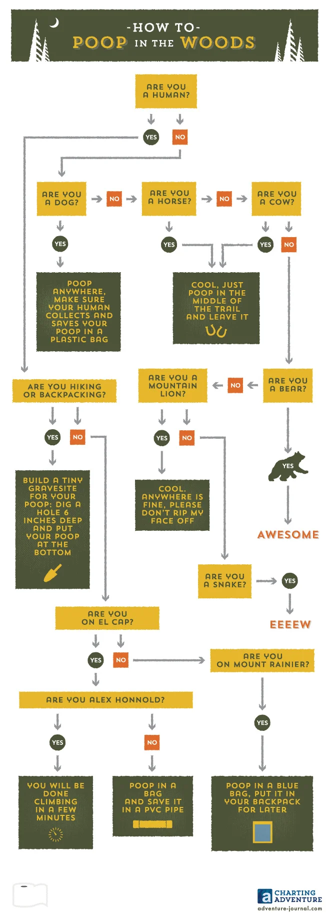 How to Poop in the Woods (Copy)