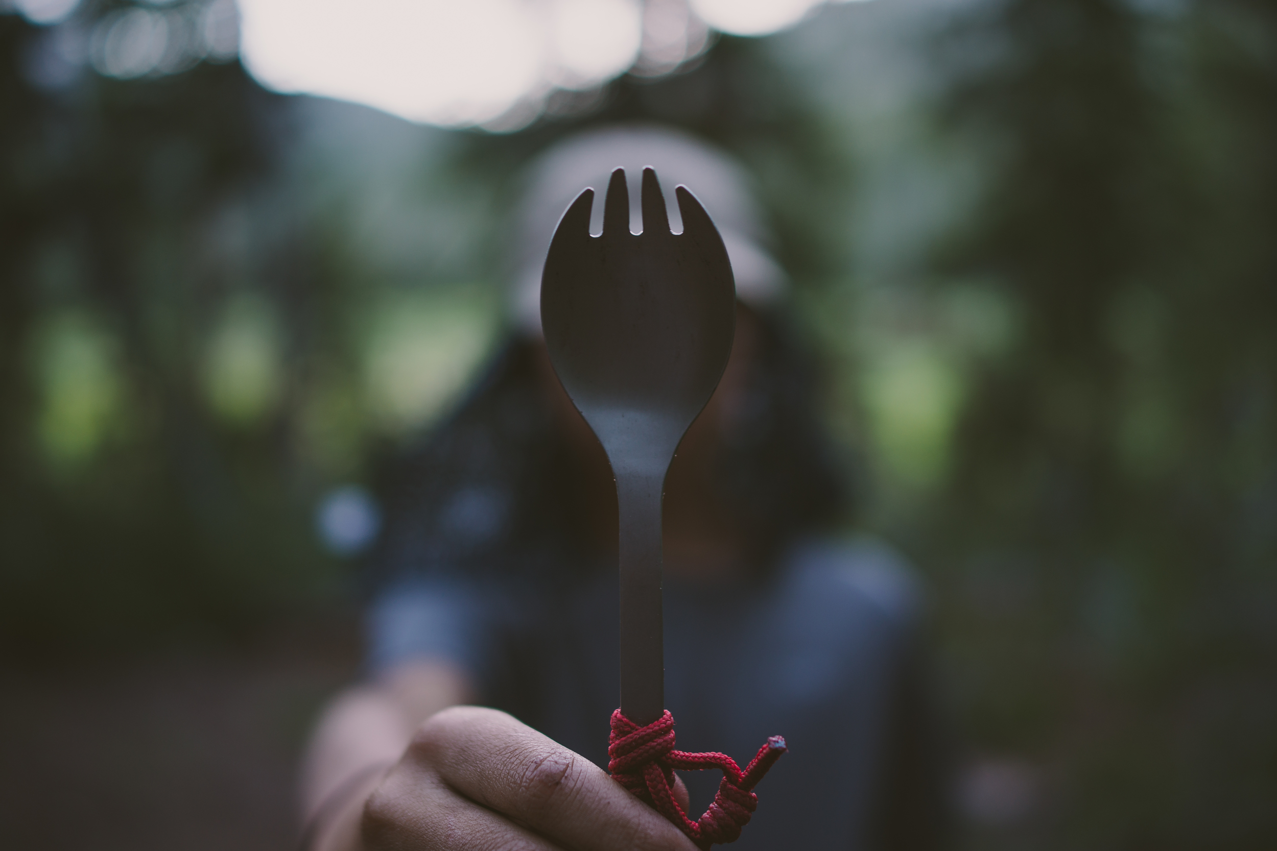 #sporklife redux_14702830689_o.jpg