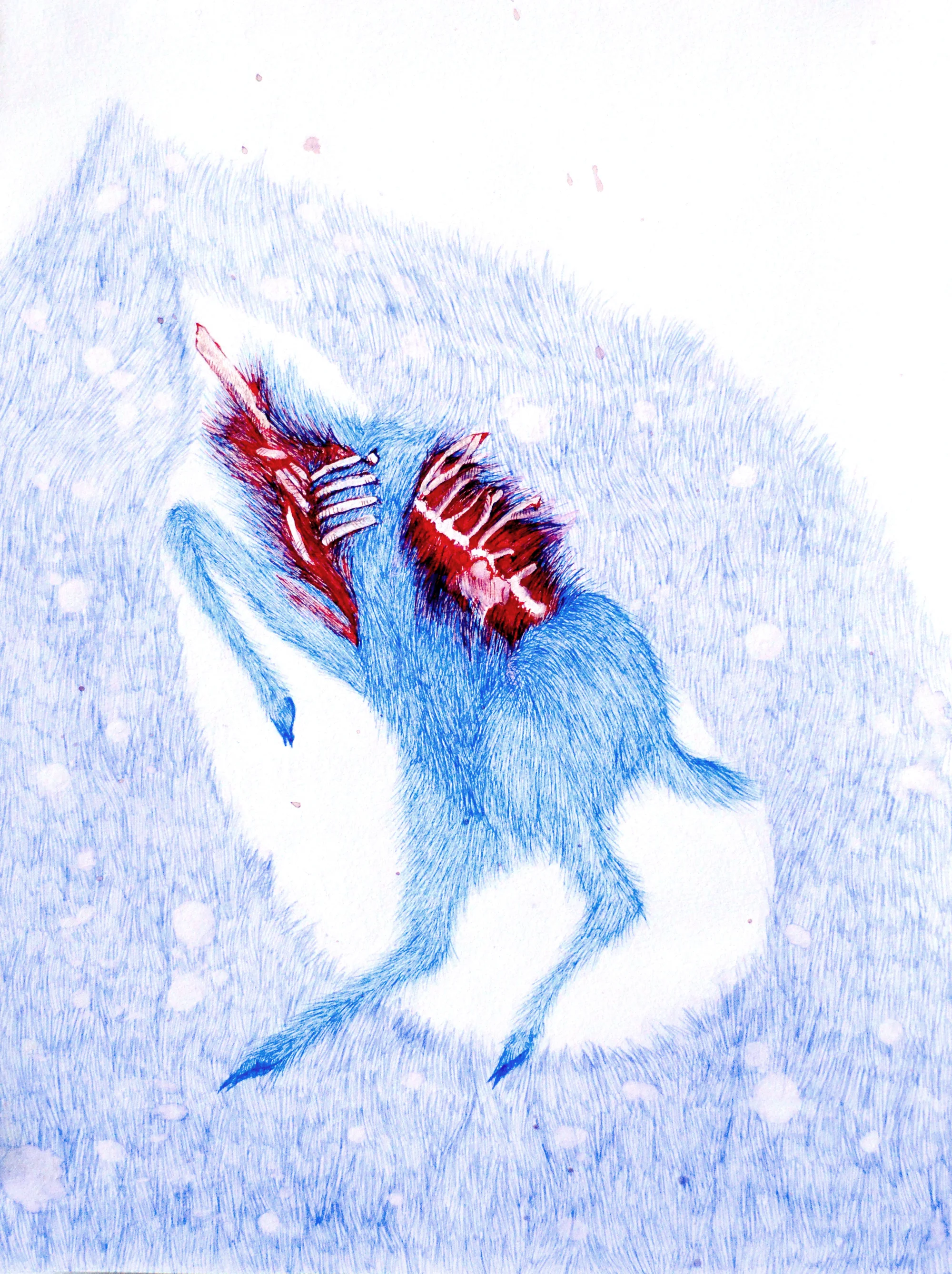 Deer 3
