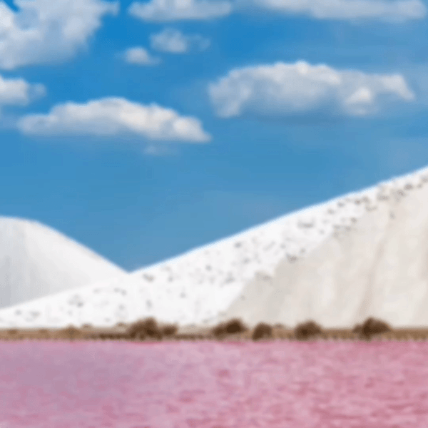 Hnet-image (6).gif
