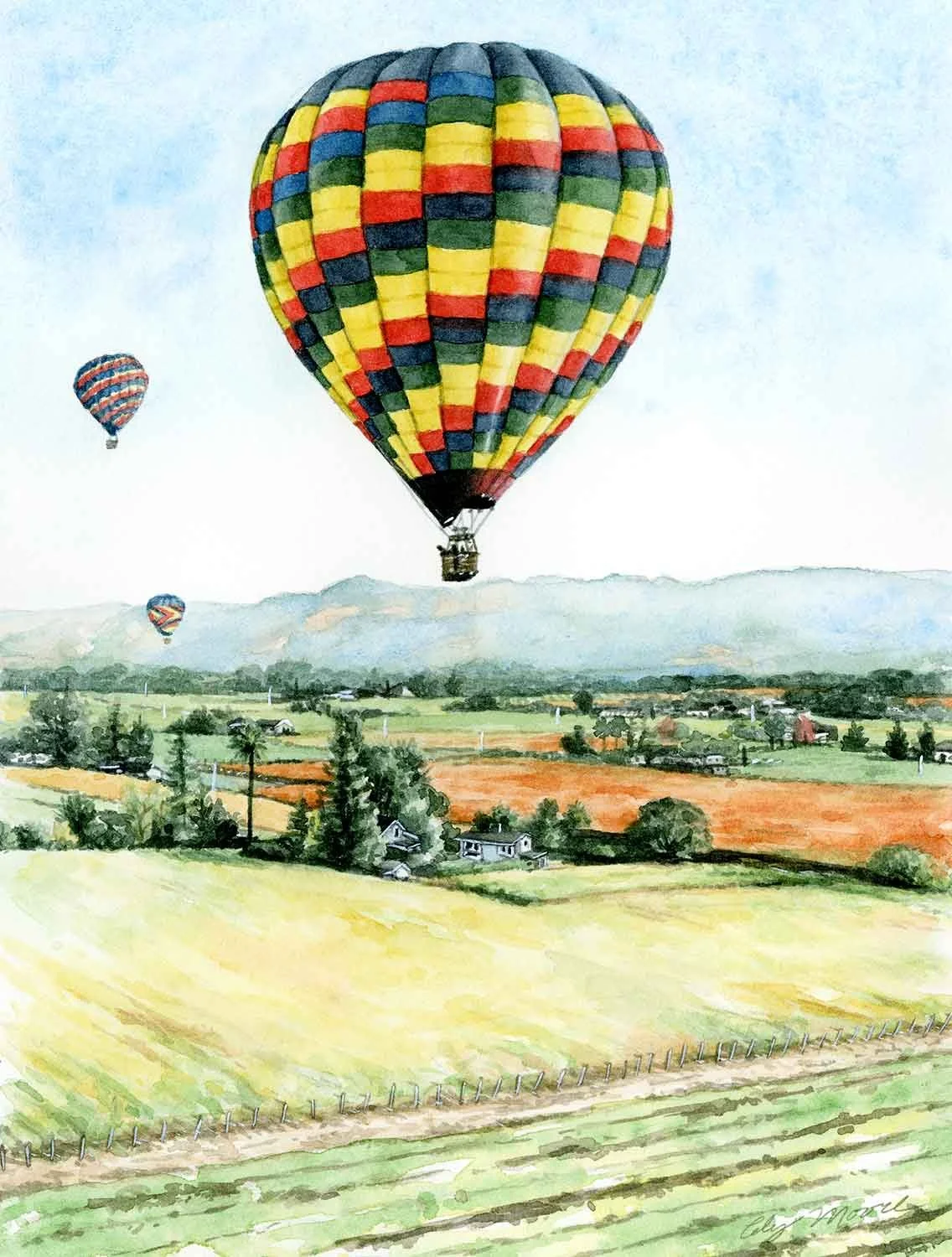 Hot Air Balloon Vineyard-lowres.jpg