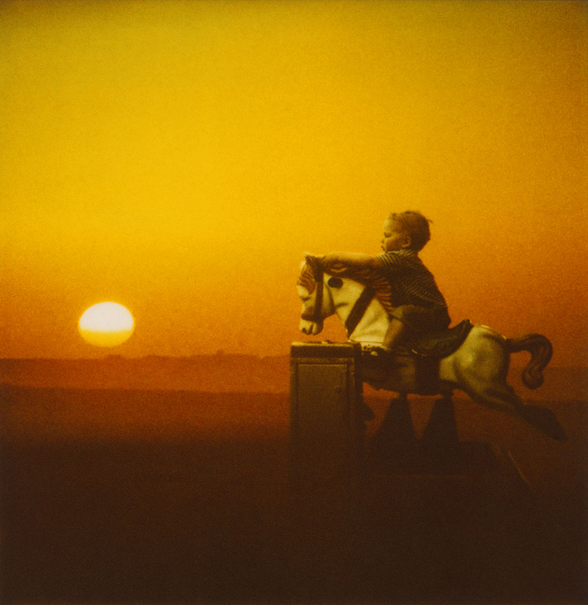 The last cowboy / 2009