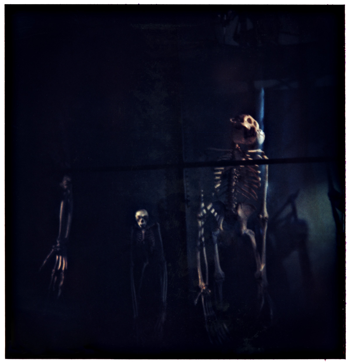 Skeletons / 2006