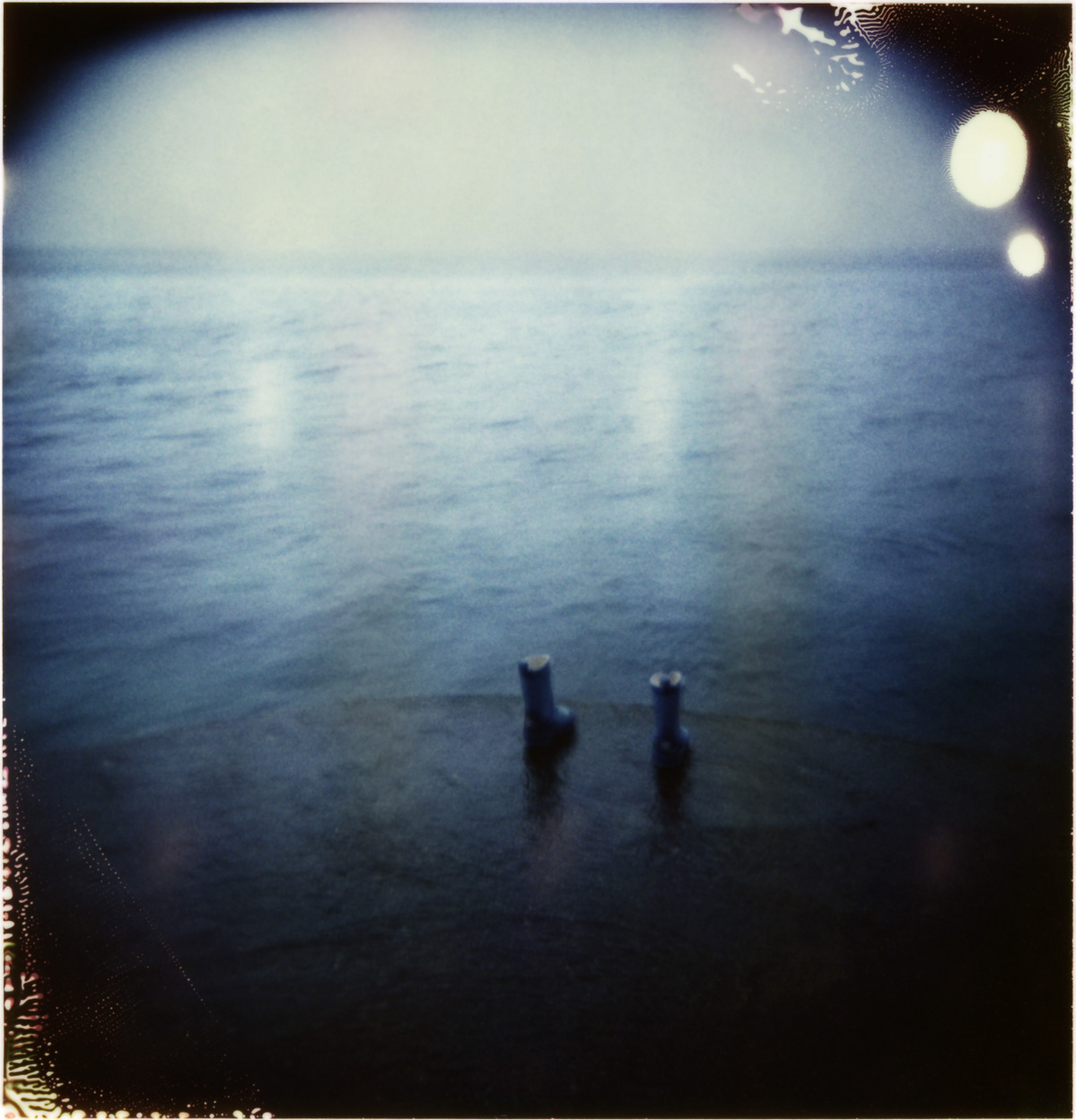 One small step and a giant leap / 2005