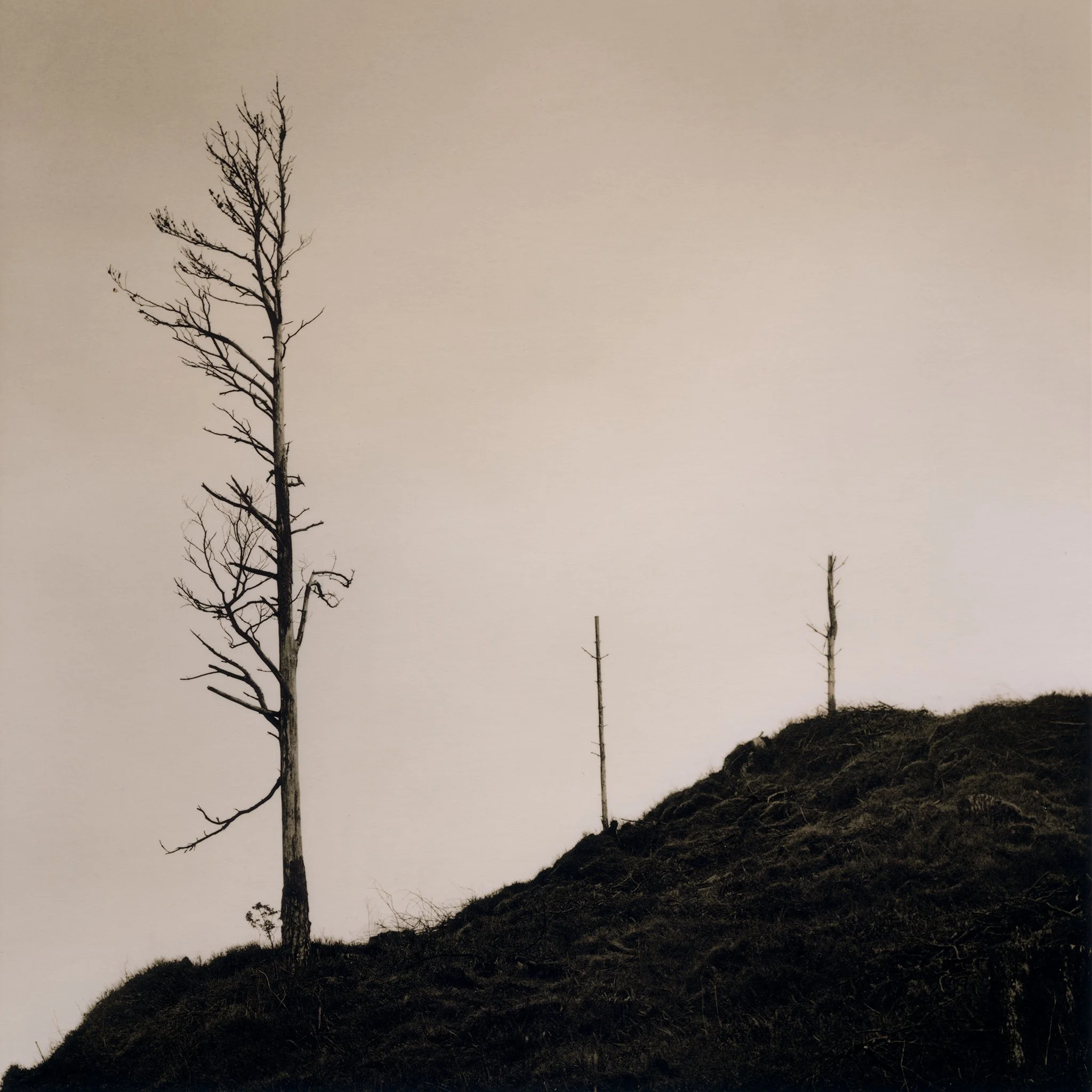  17×17cm silver gelatin lith print. 