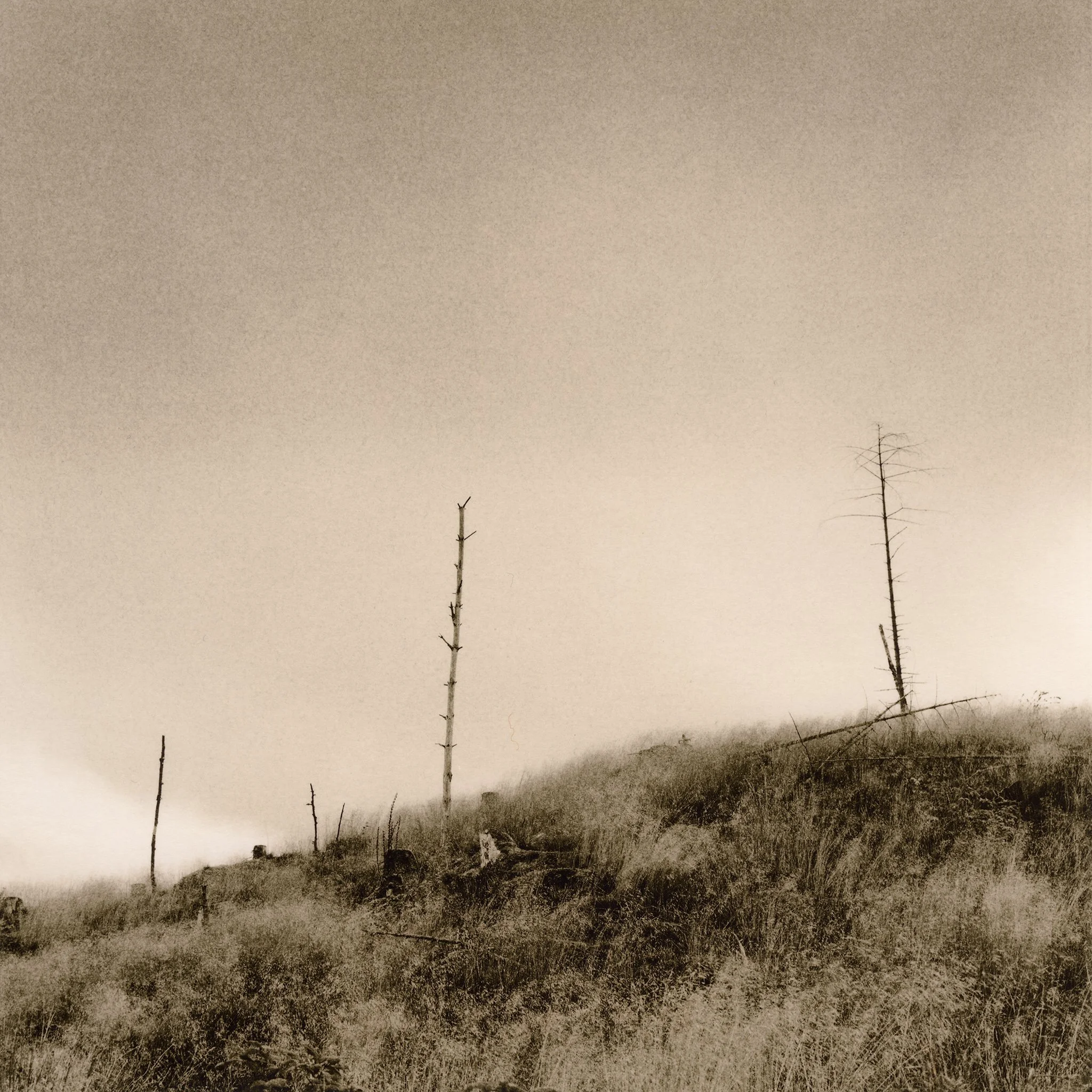  17×17cm silver gelatin lith print. 