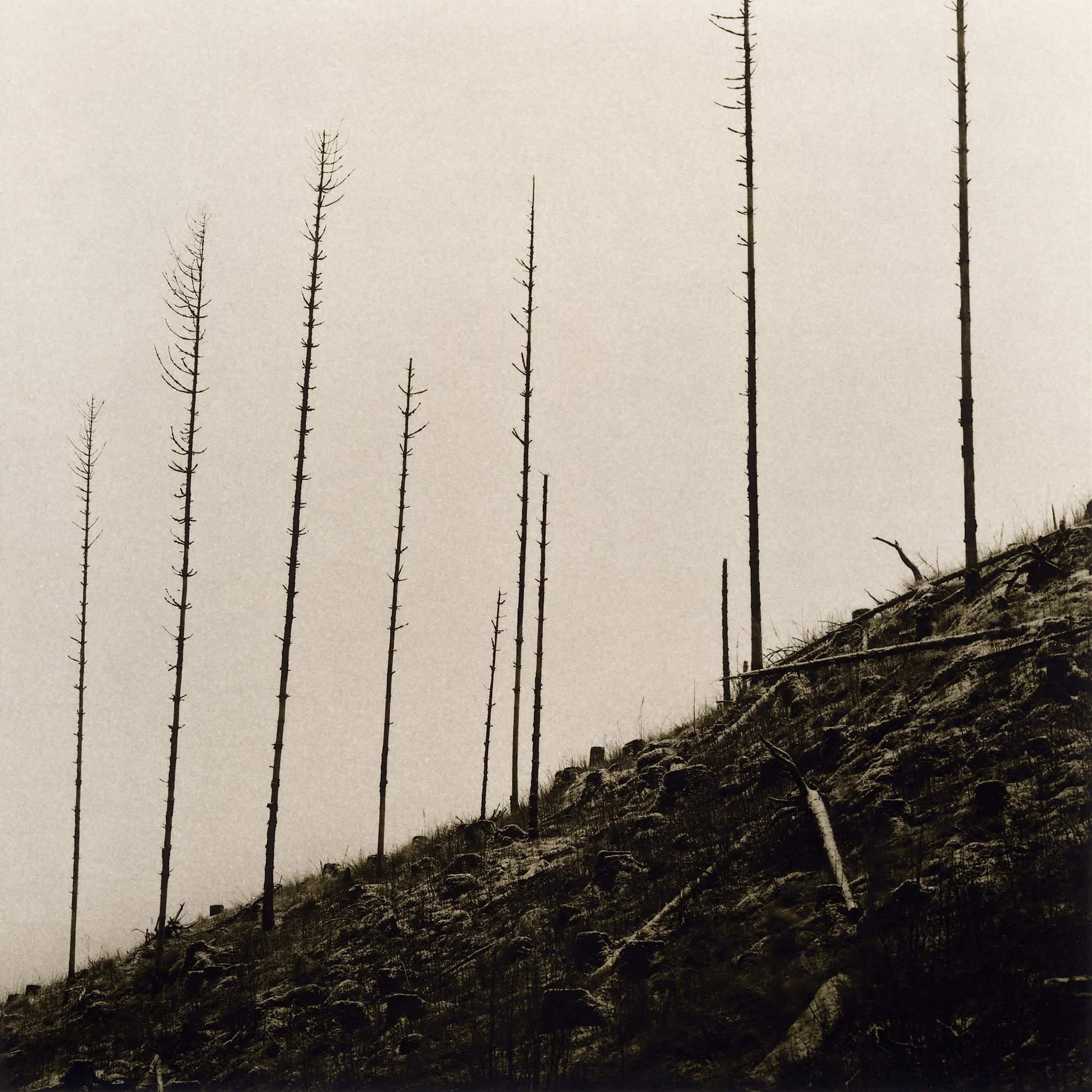  17×17cm silver gelatin lith print. 