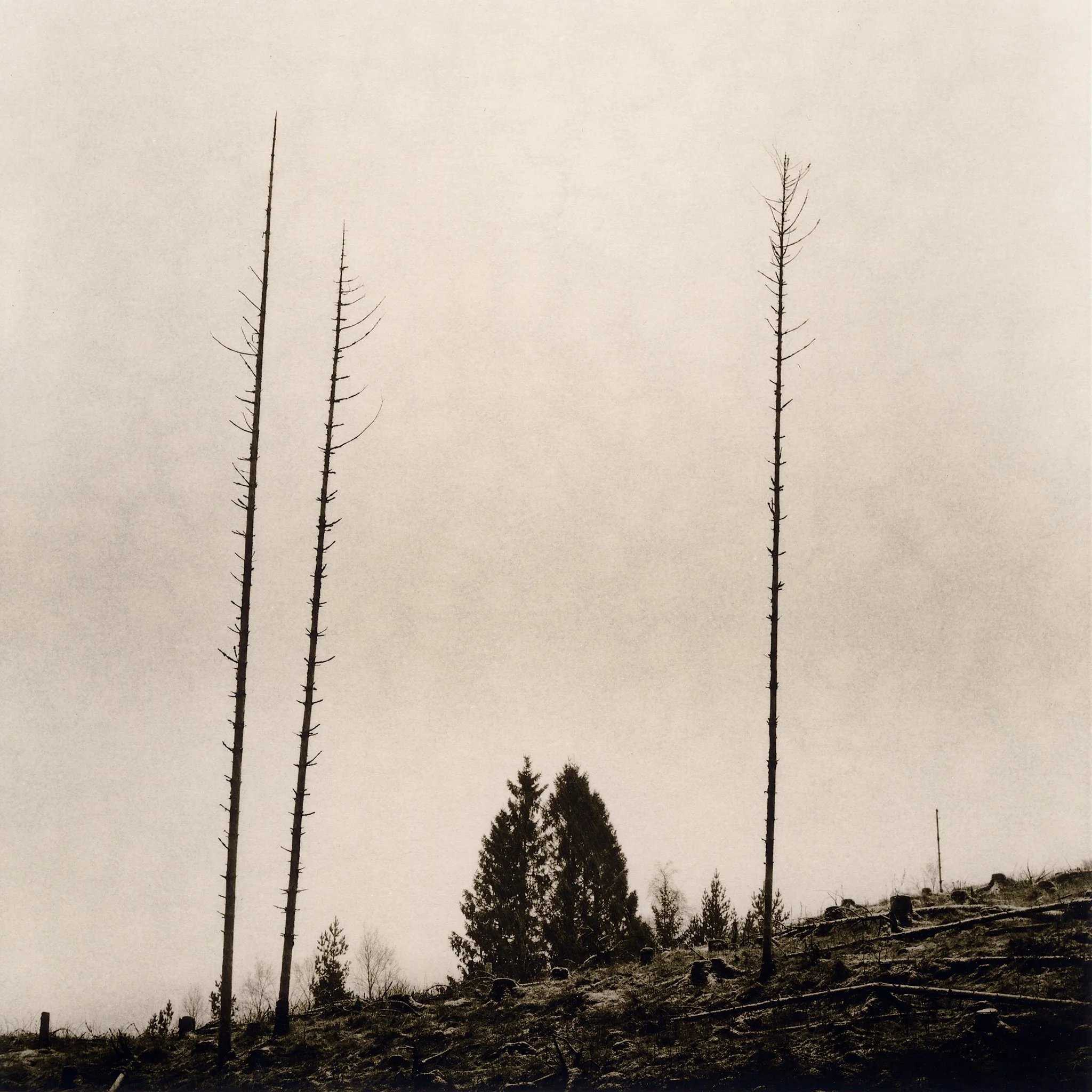  17×17cm silver gelatin lith print. 