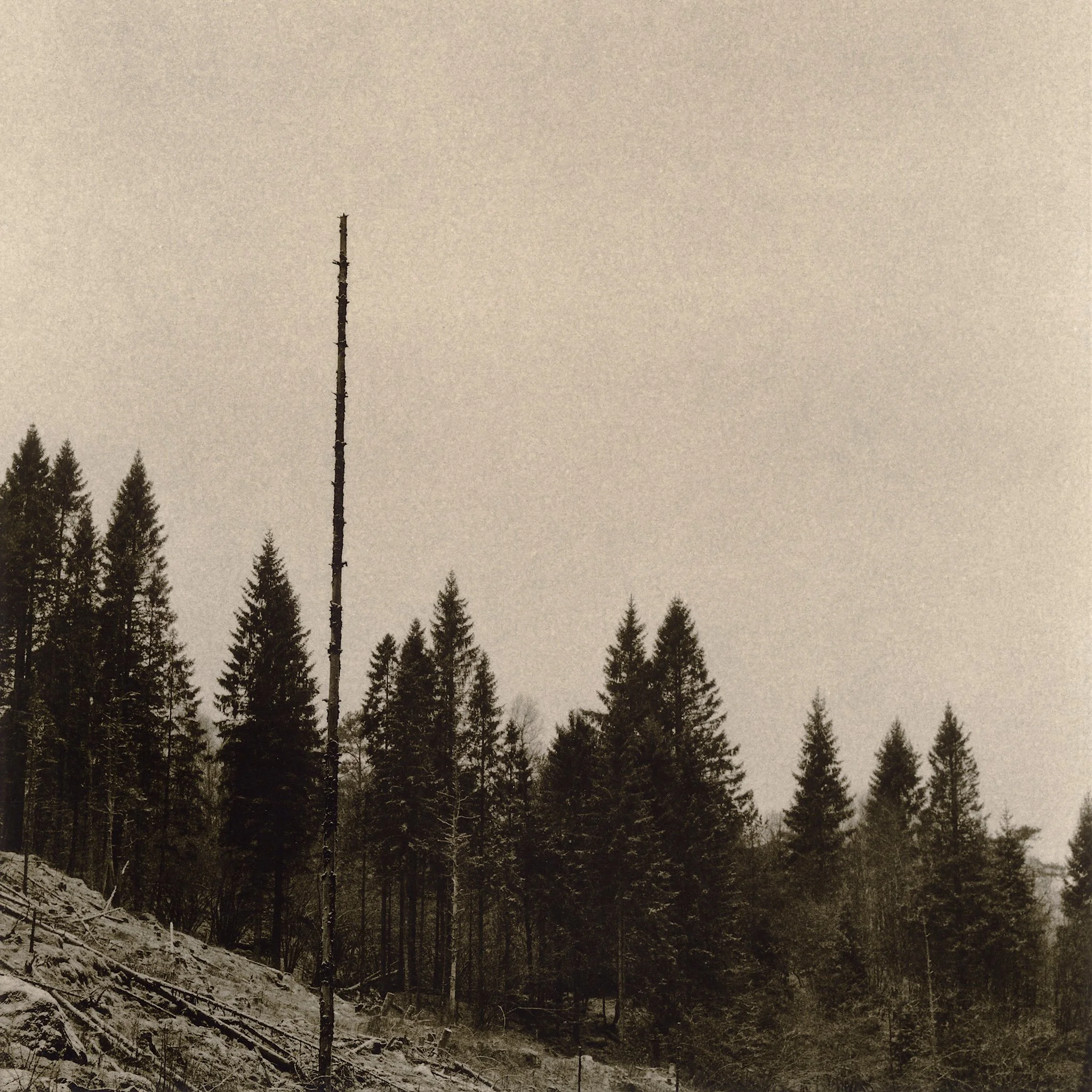  17×17cm silver gelatin lith print. 