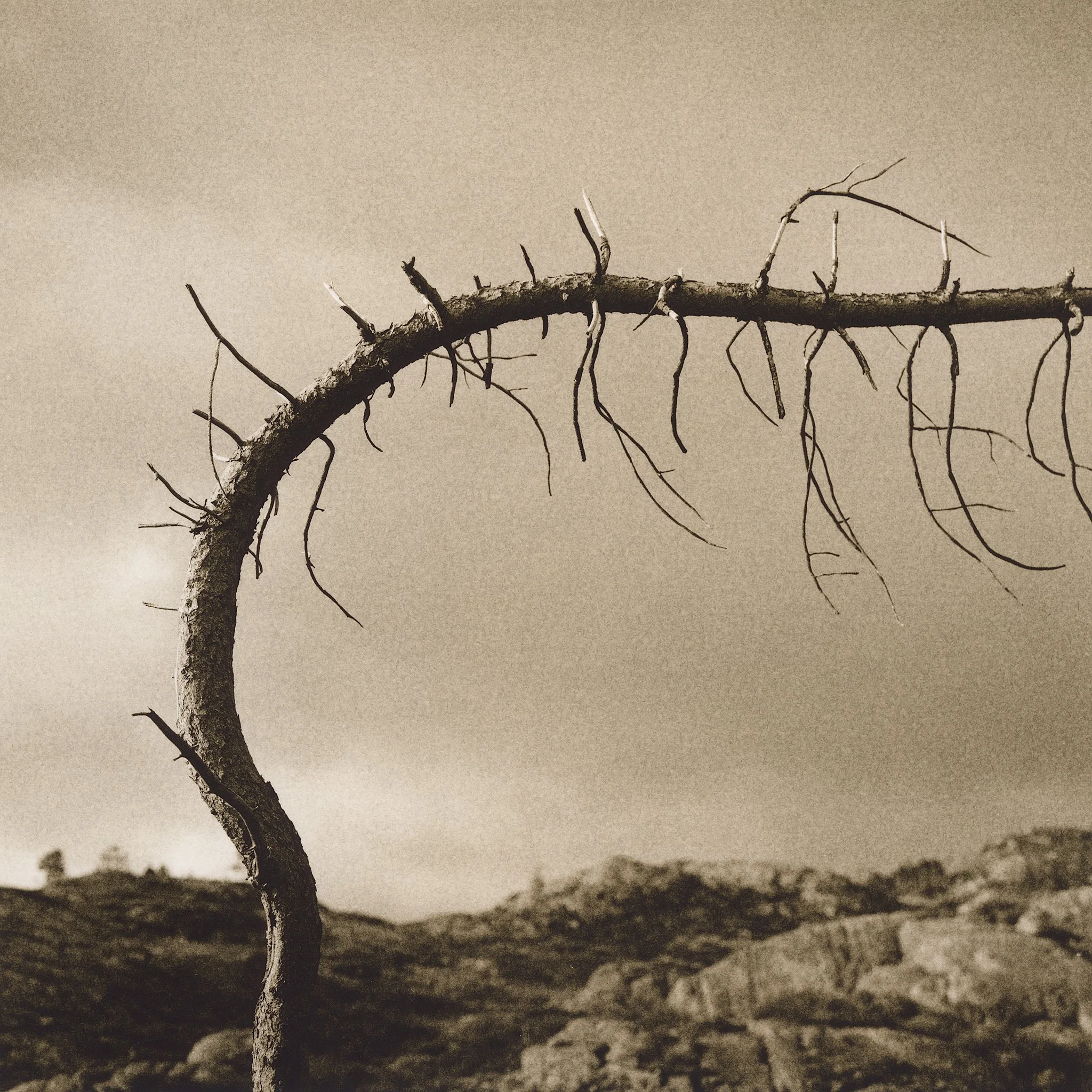 17×17cm silver gelatin lith print.