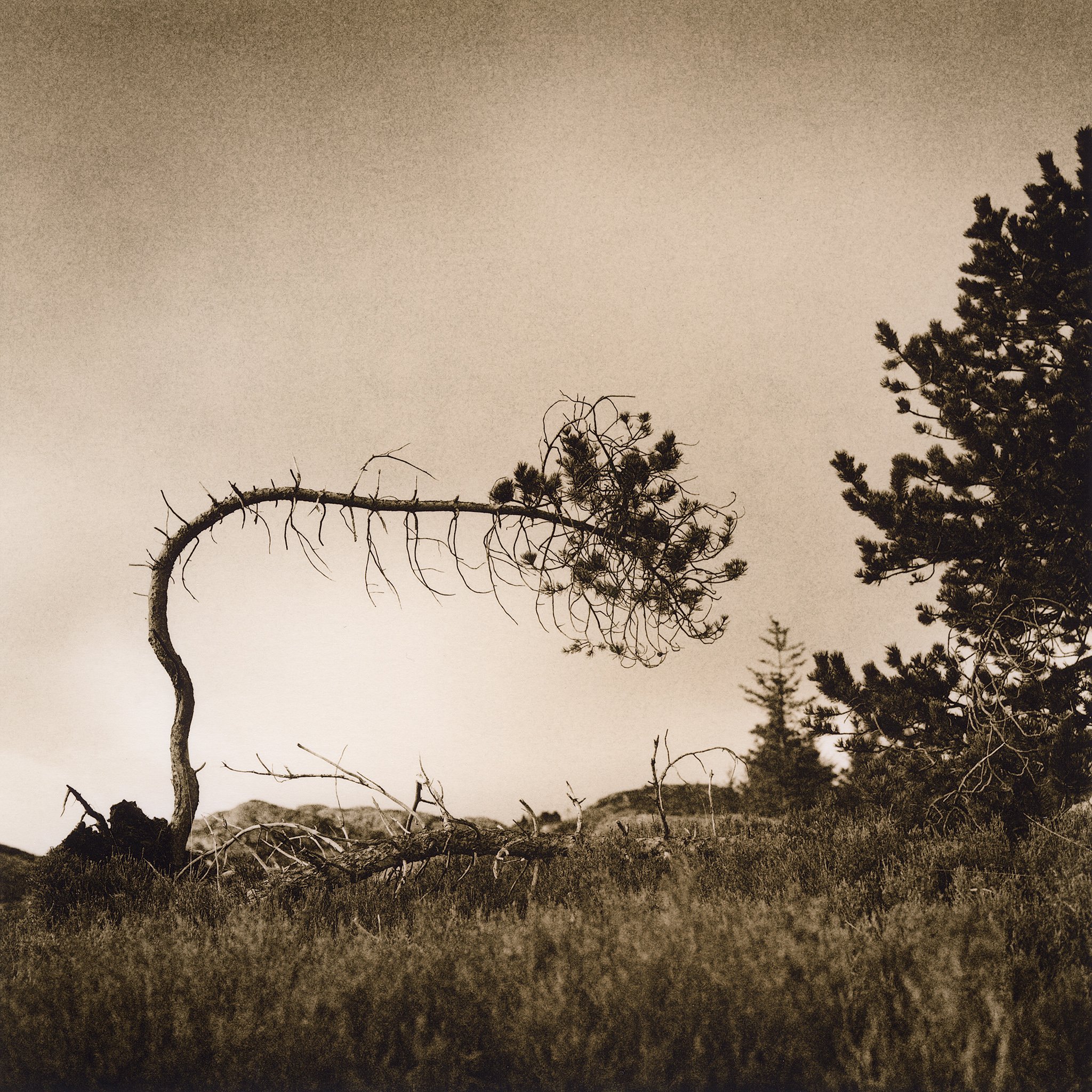 17×17cm silver gelatin lith print.