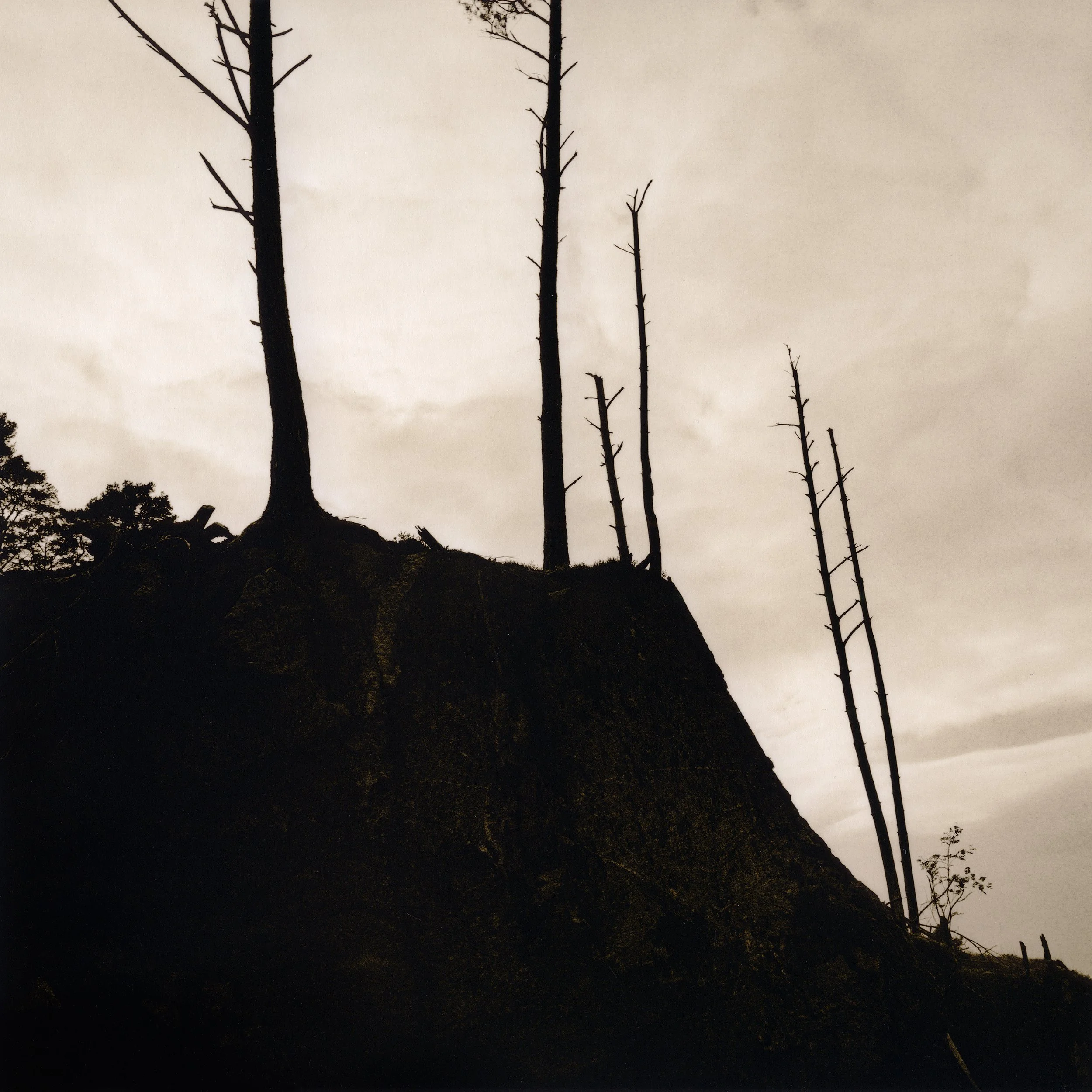  17×17cm silver gelatin lith print. 