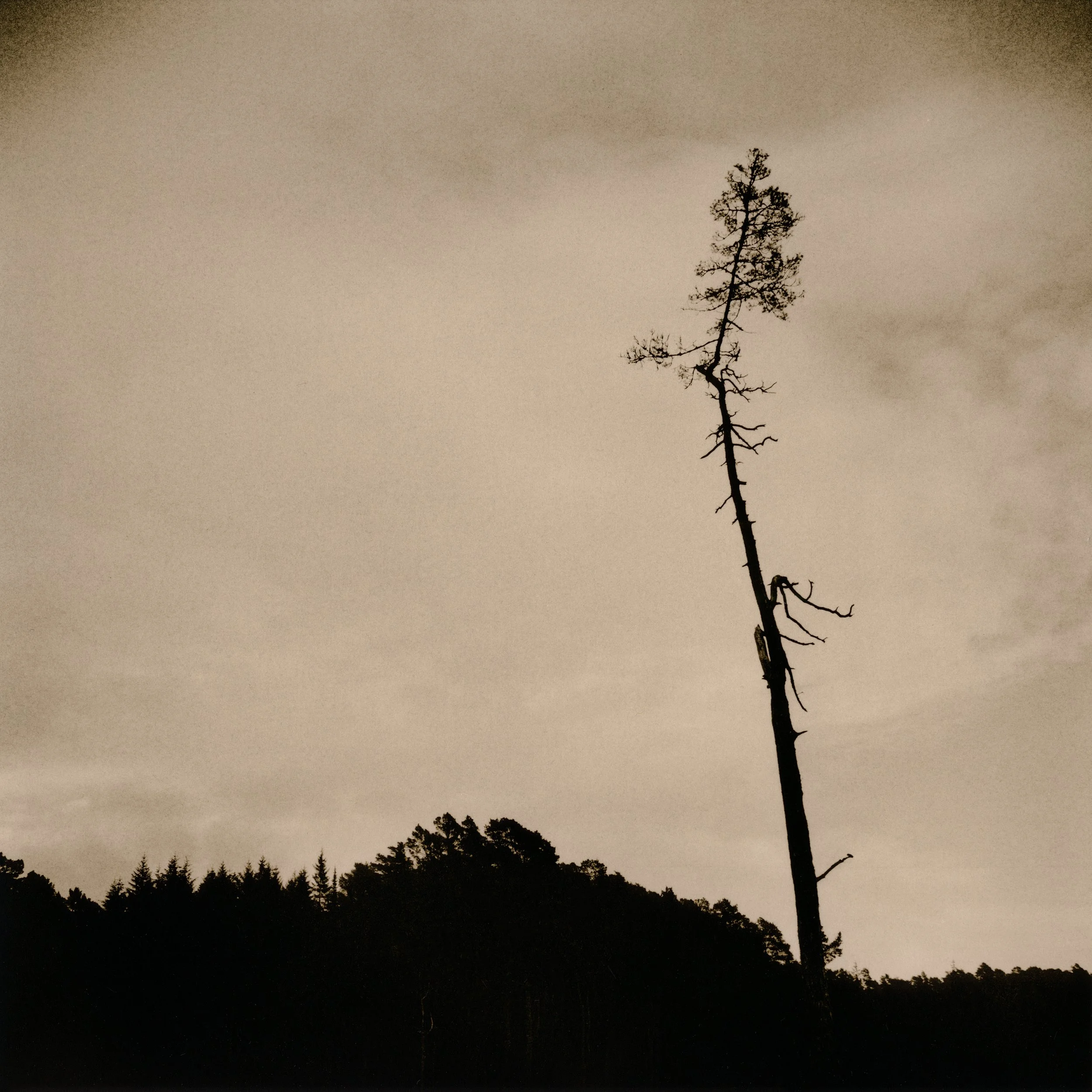  17×17cm silver gelatin lith print. 