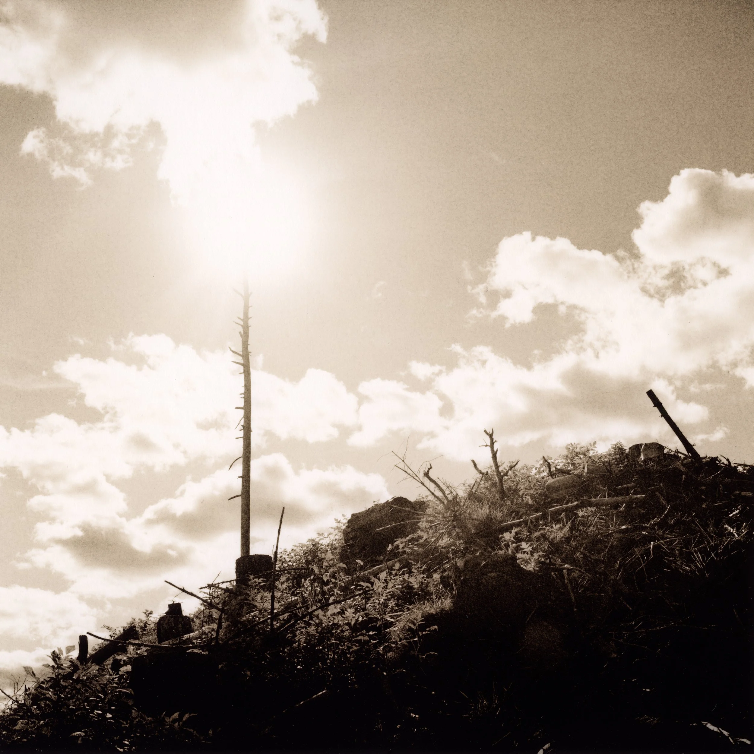  17×17cm silver gelatin lith print. 