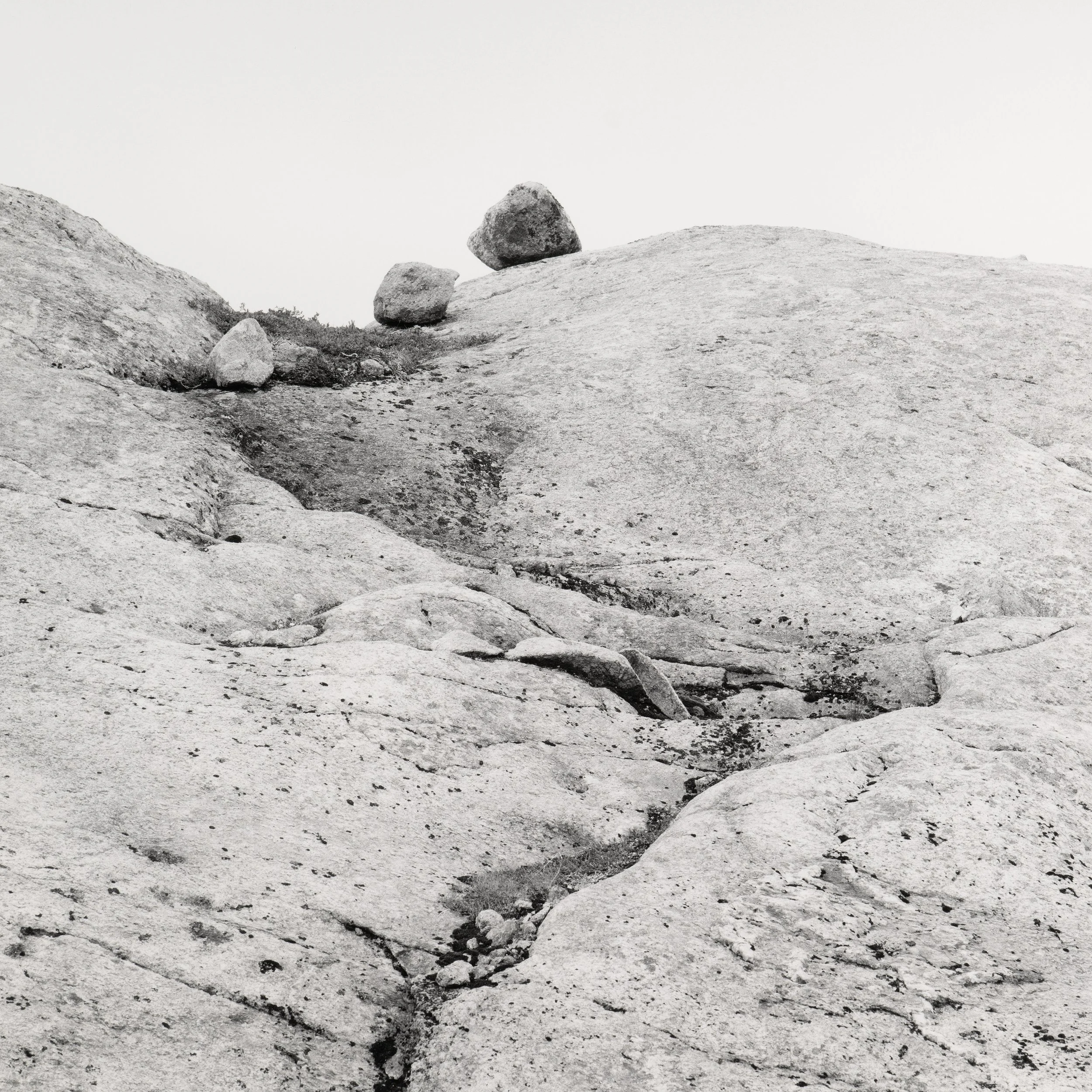 Tre steinar i ei renne-Mamiya 6-75mm-HP5-Ilford 20x20cm.jpg