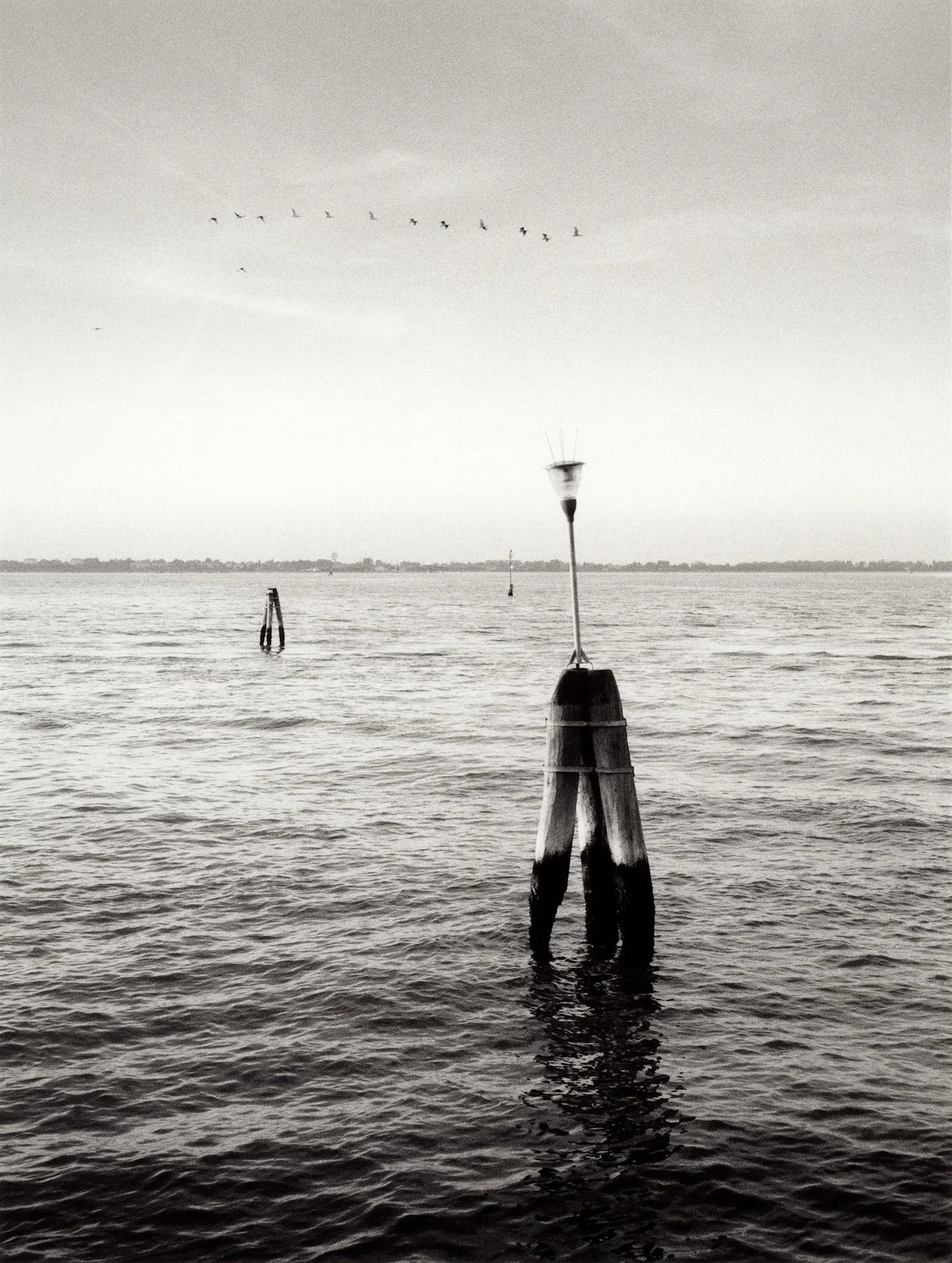 14 fuglar ved Fondamenta Sacca San Girolamo-F100-24_120mm-15x22cm Ilford FB.jpg