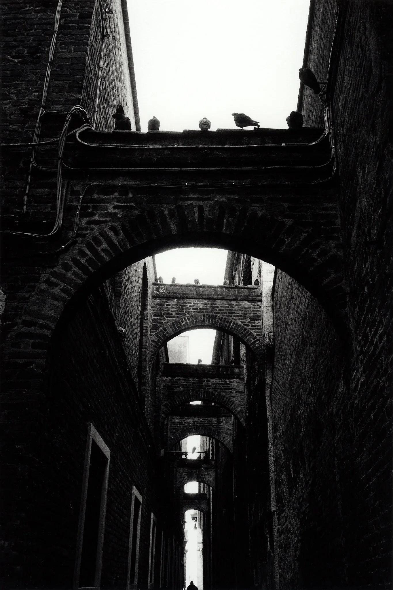 Duer over buer 2-M5-Ilford FB selen 15x22cm.jpg