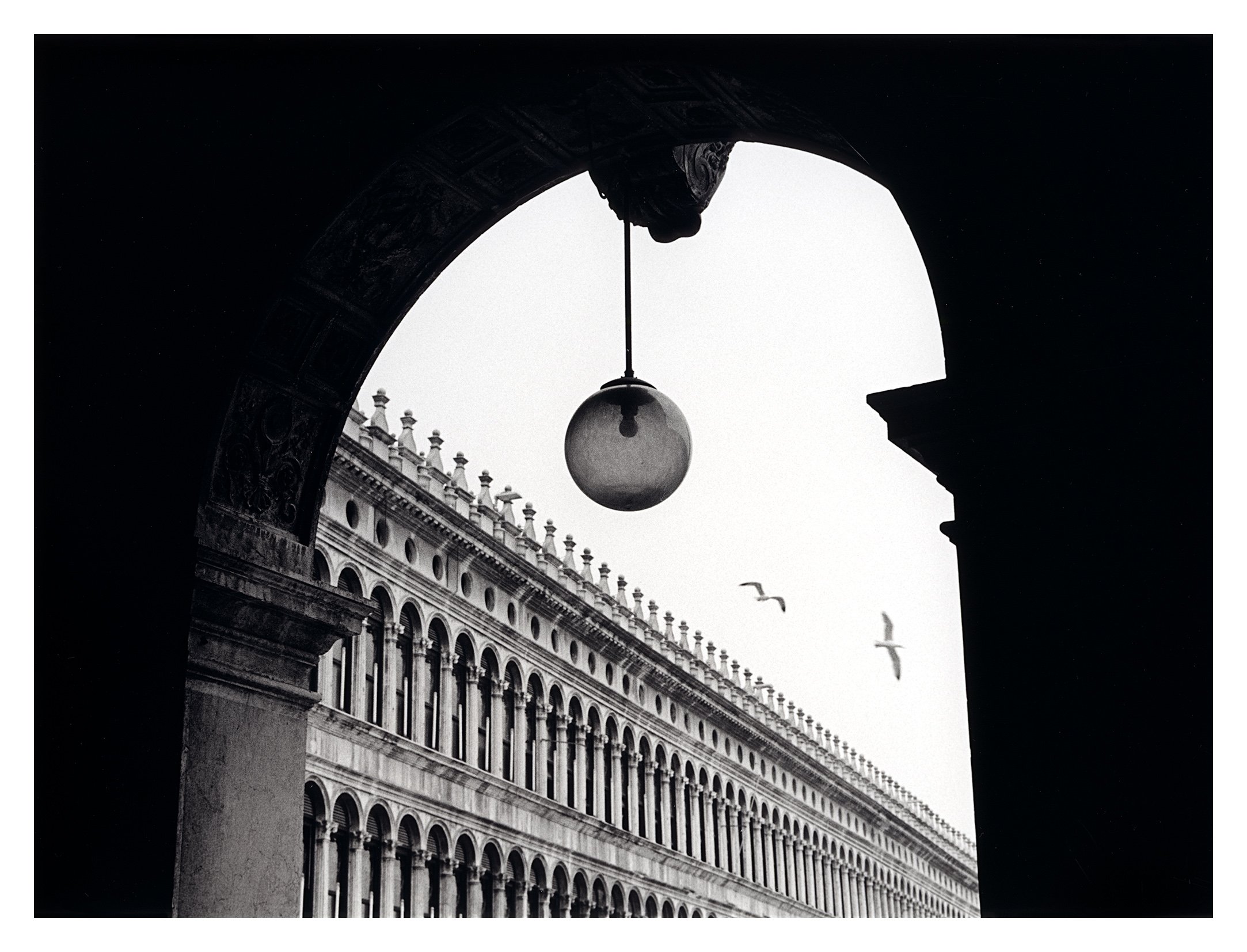 Markusplassen måkar siluett-M5-50mm-Trix Ilford FB.jpg