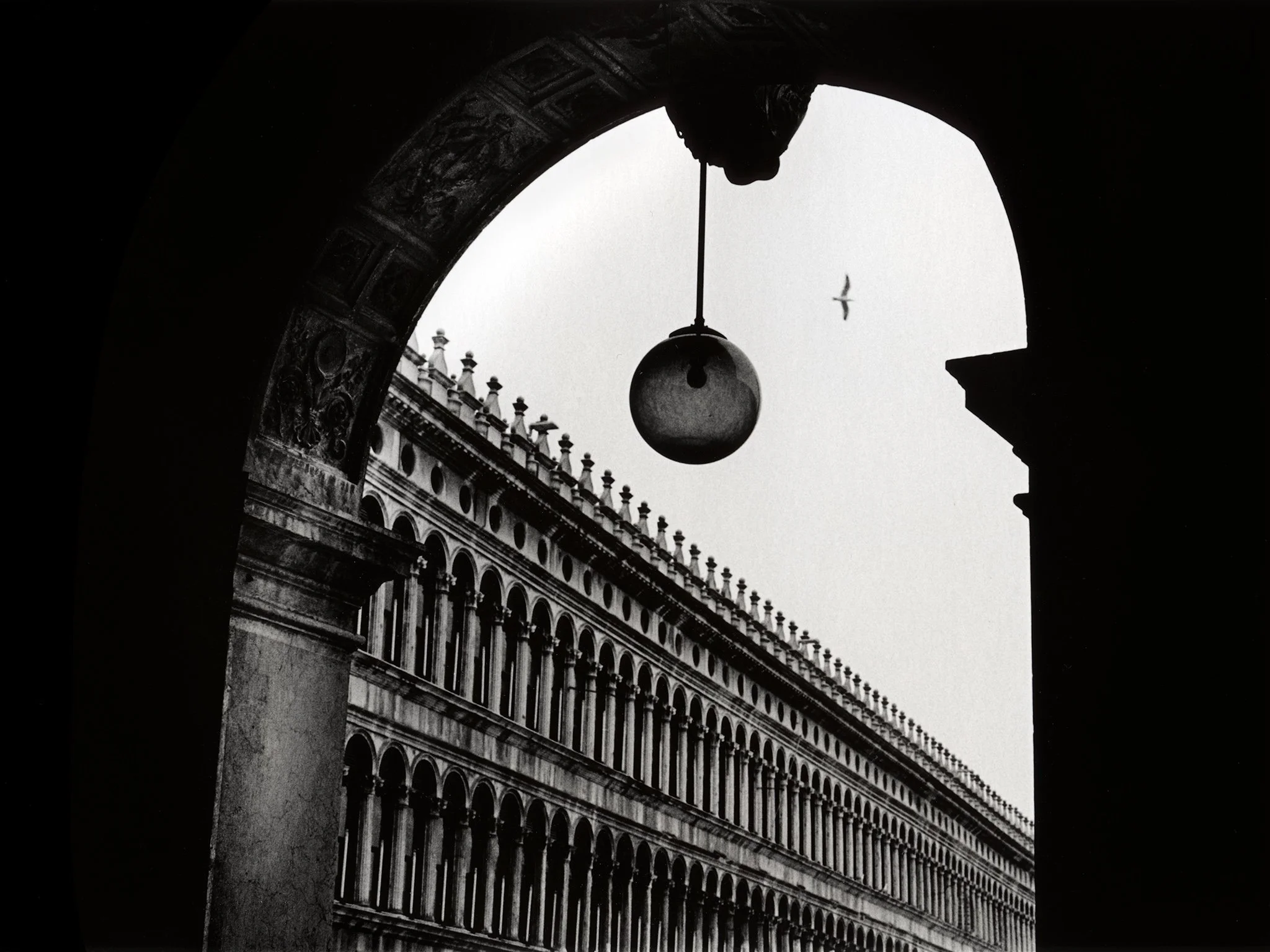 Markusplassen måke siluett-M5-50mm-Trix-FomaFB.jpg