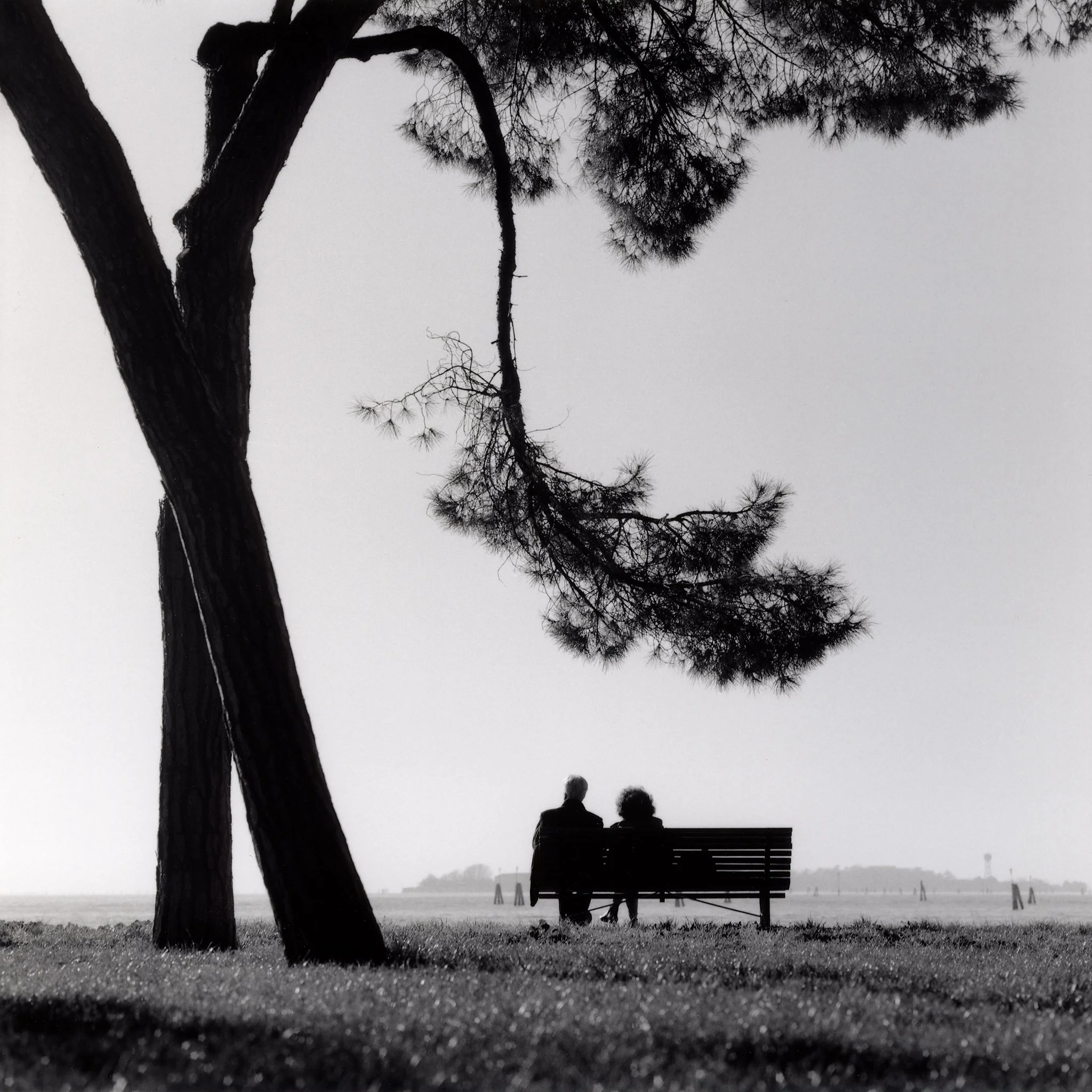 Par under eit tre i parken-SL66-150mm-HP5-17x17cm Ilford FB.jpg