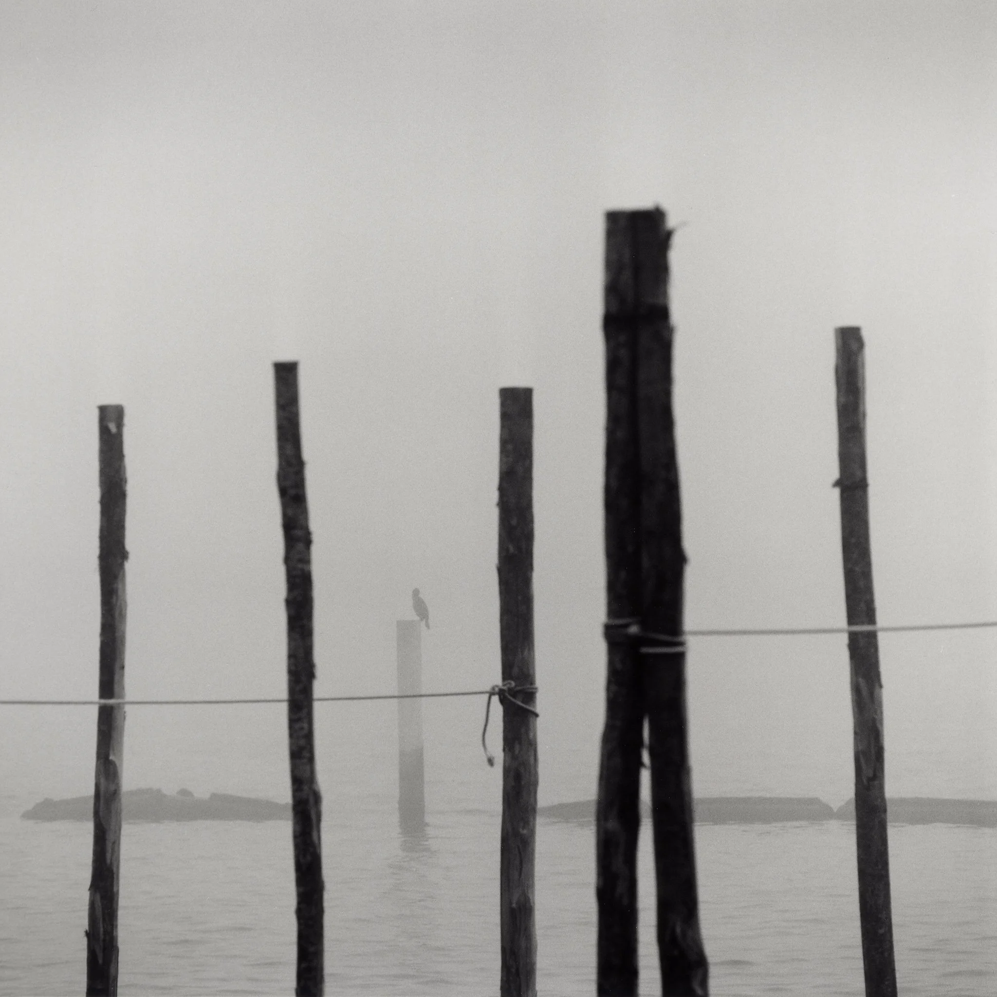 Pålar i tåka 2-SL66-250mm-HP5-17x17cm Ilford FB.jpg