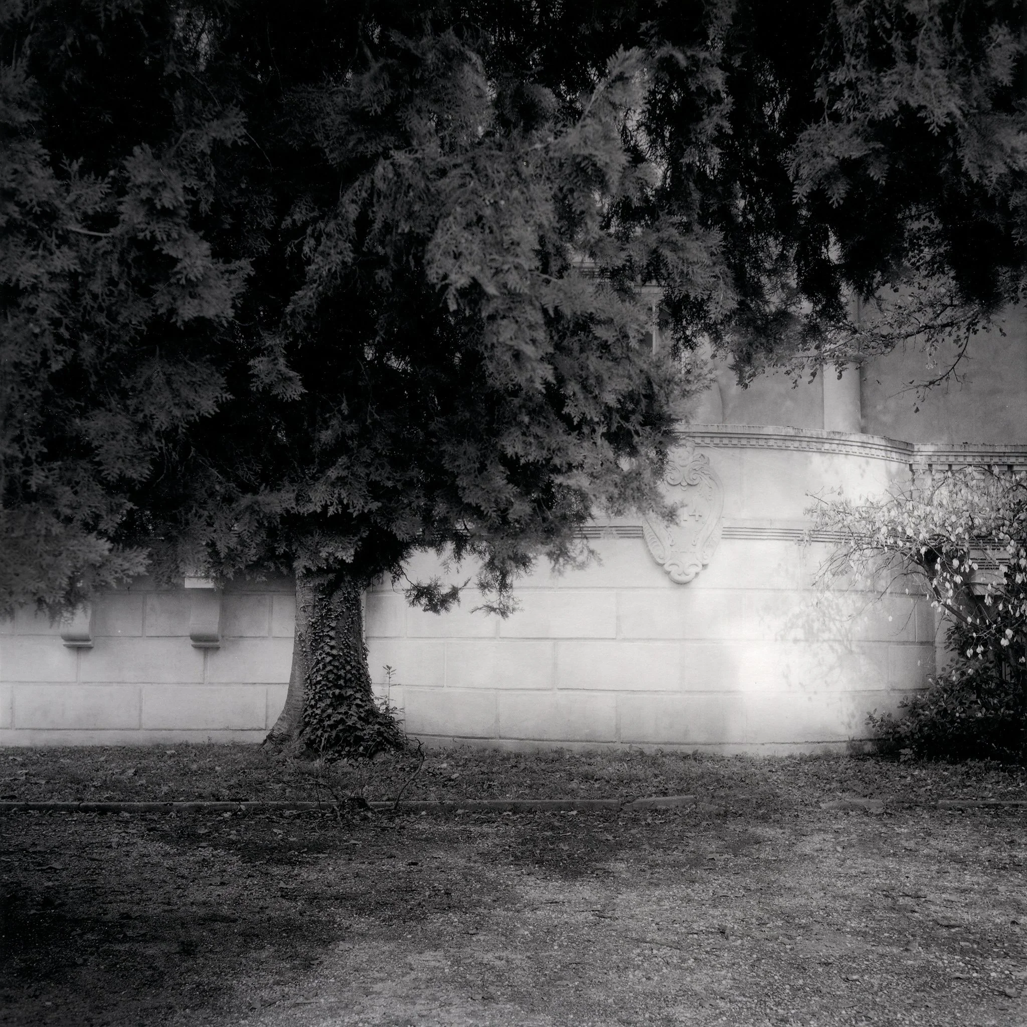 Tre-Autocord-17x17cm selentona.jpg