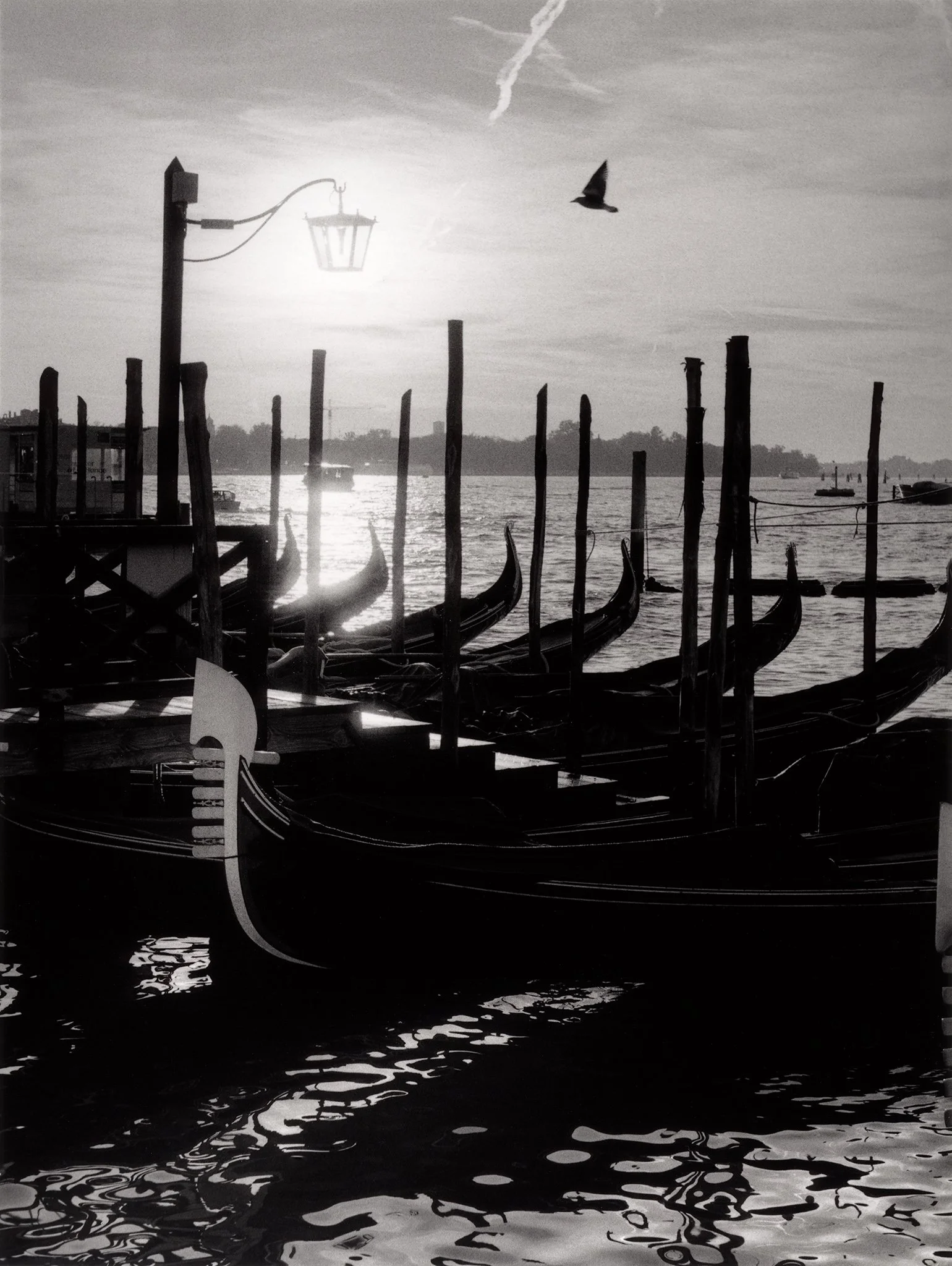Venezia gondolar og fugl-F100-24_120mm-15x20cm Ilford FB.jpg