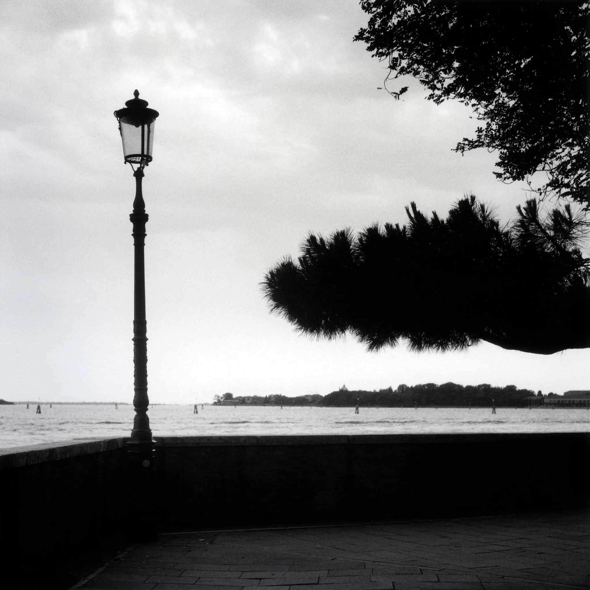 Viale-Giardini-Publicci-Autocord-RPX400-IlfordFB.jpg