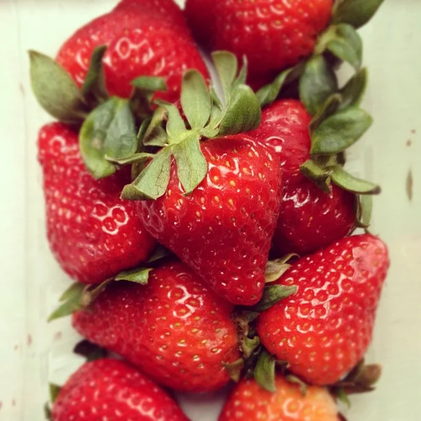 Strawberries.jpg