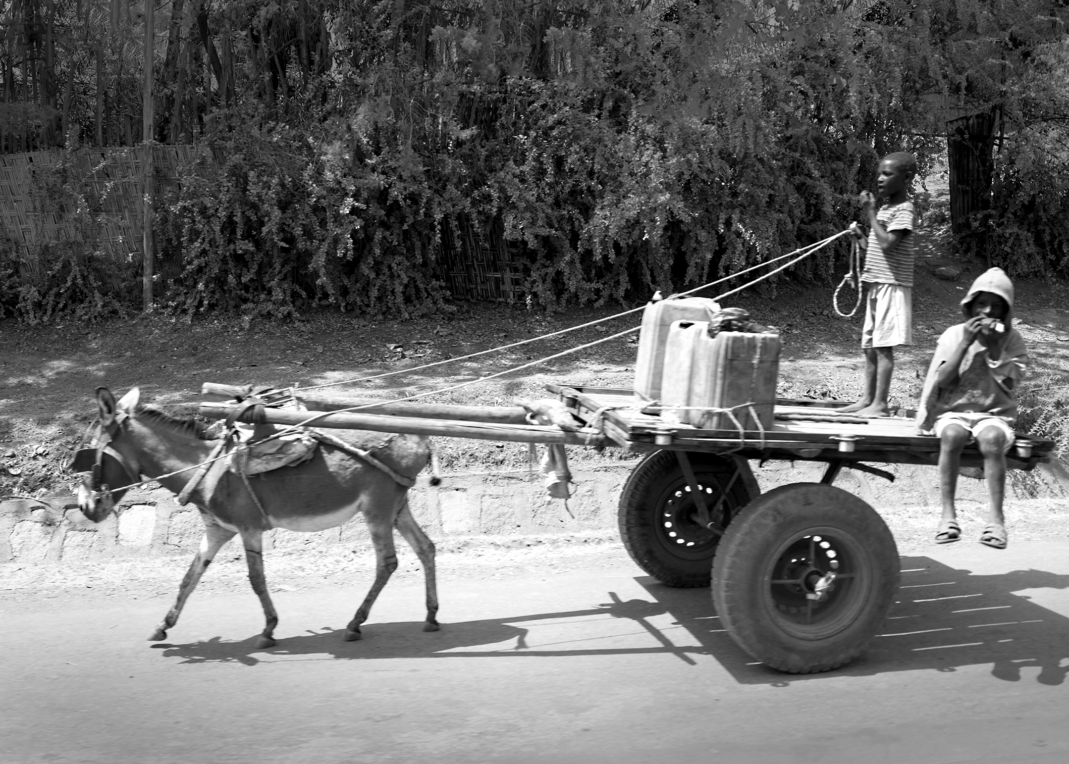 Passing through a village on the road from Addis to Awassa, boys driving a donkey-led cart, loaded with water containers.