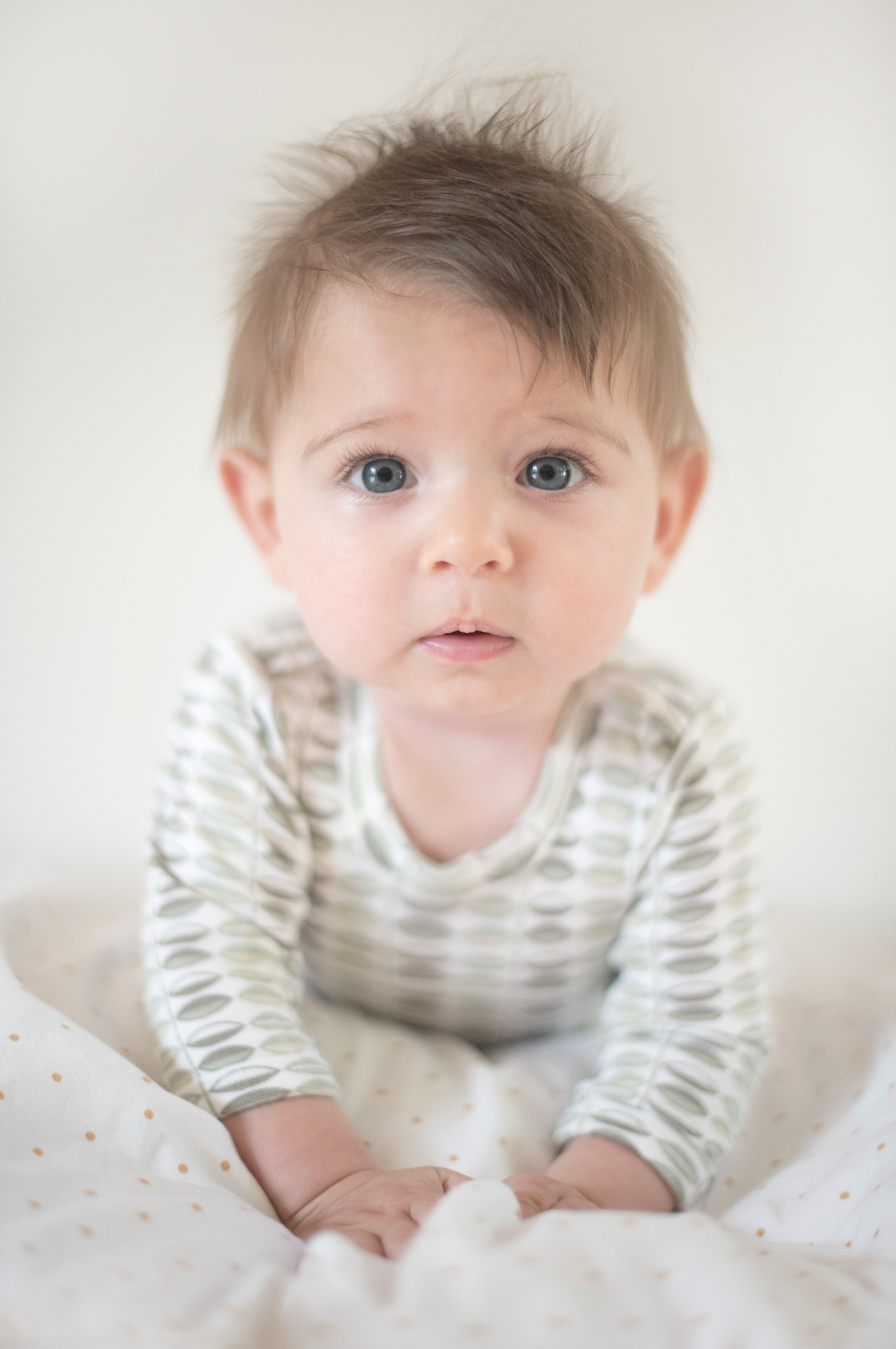 Angus-6mosWEB.jpg