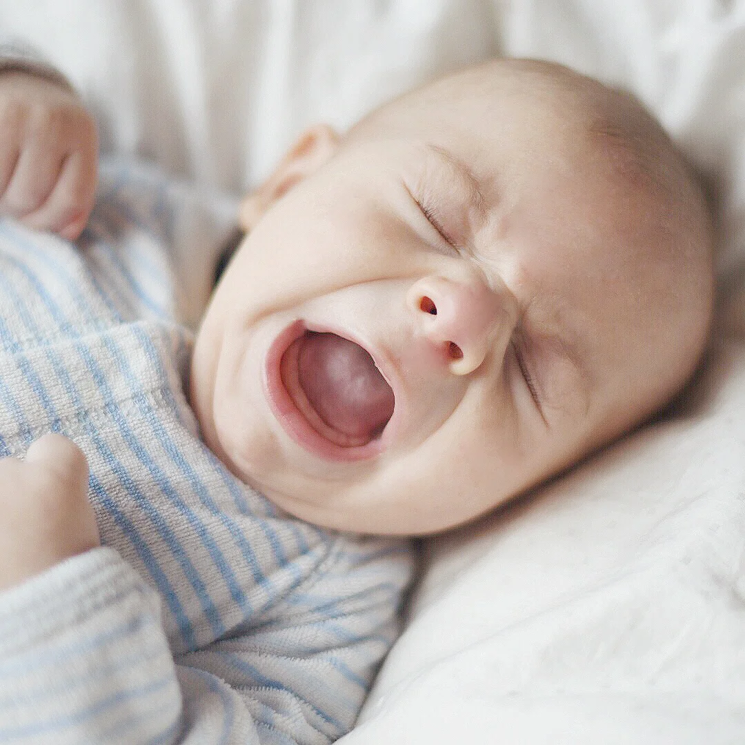 Caspian Yawn