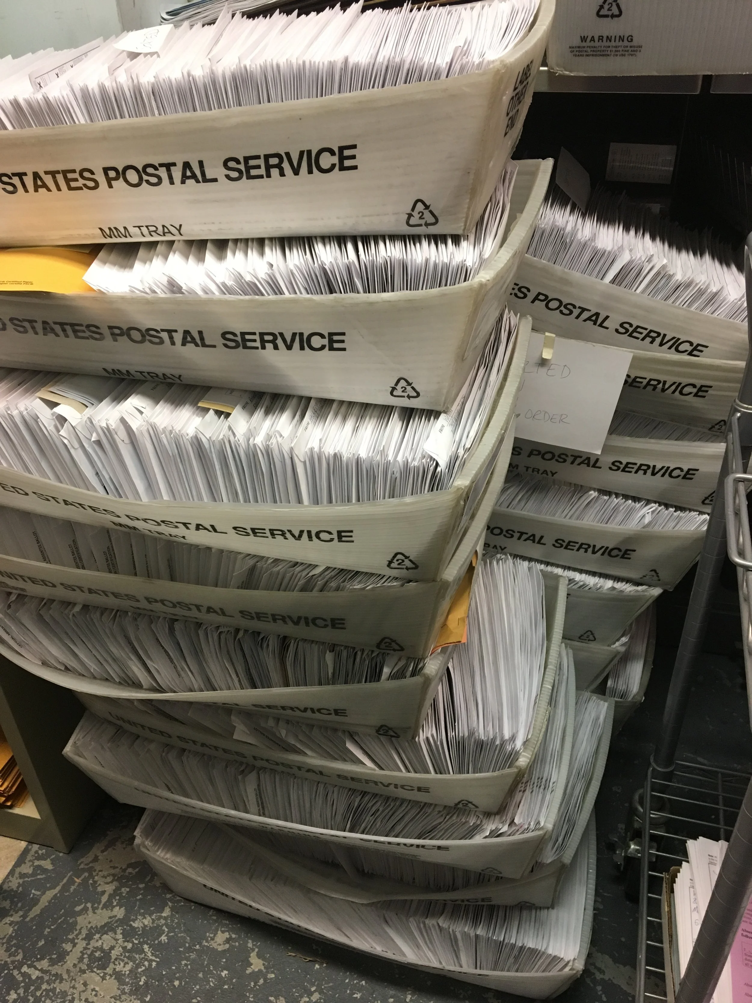 Trays of in-person absentee ballots, sorted by ward, in the vault at the City Clerk's office. (Photo courtesy of Maribeth Witzel-Behl.)