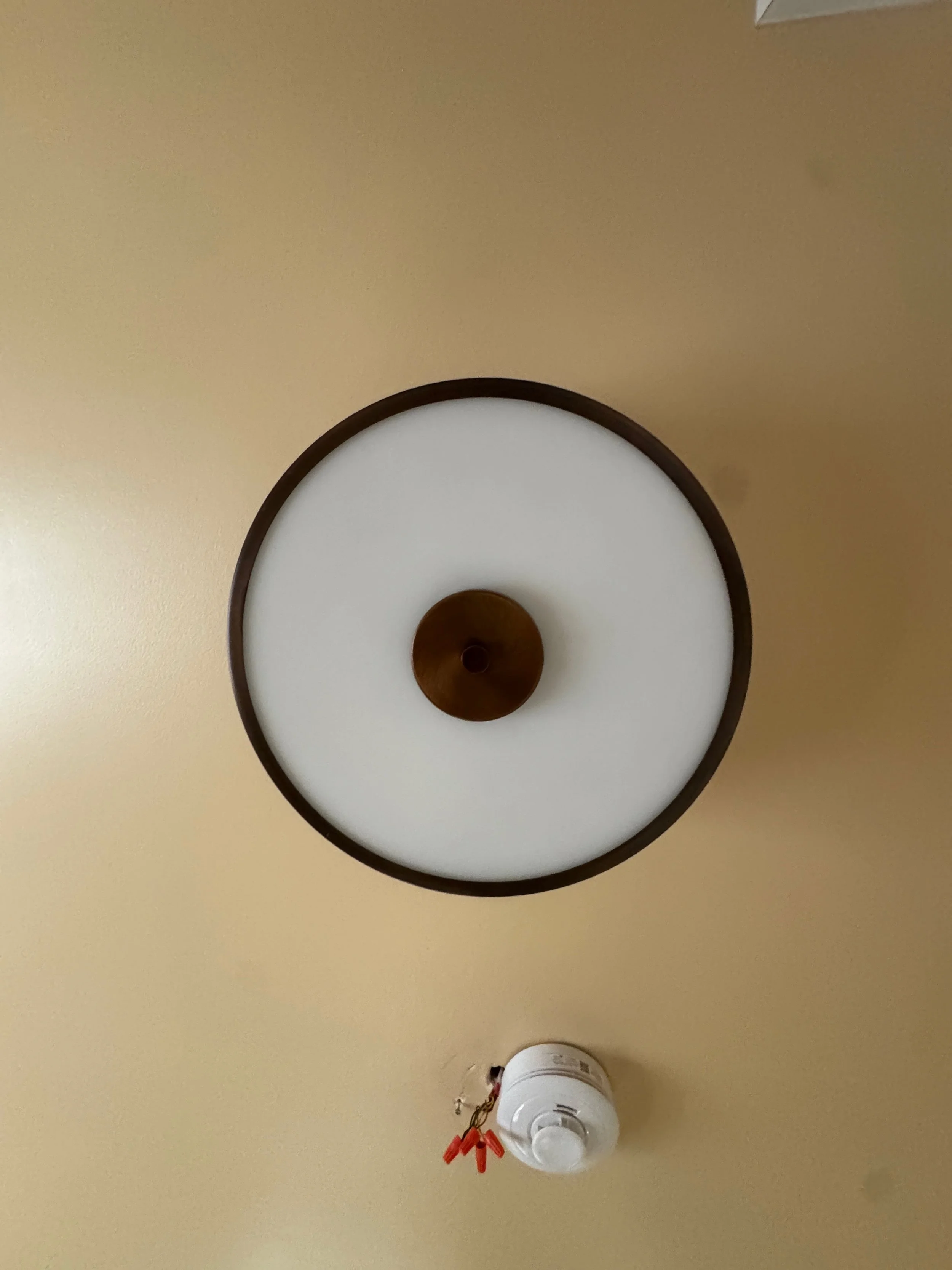 LIGHT HALL3 01A.jpg