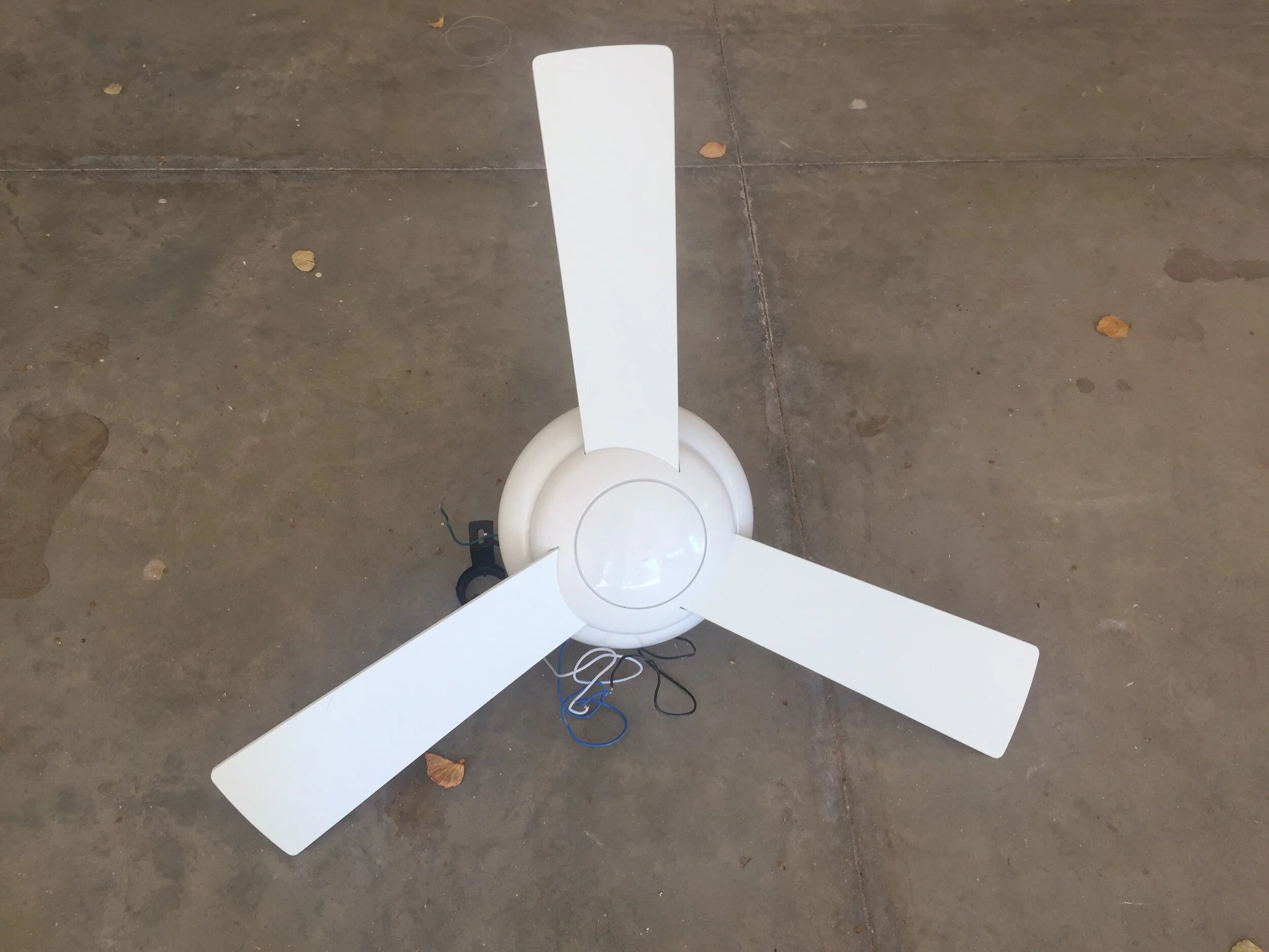 Modern Fan Ceiling Fan-B969