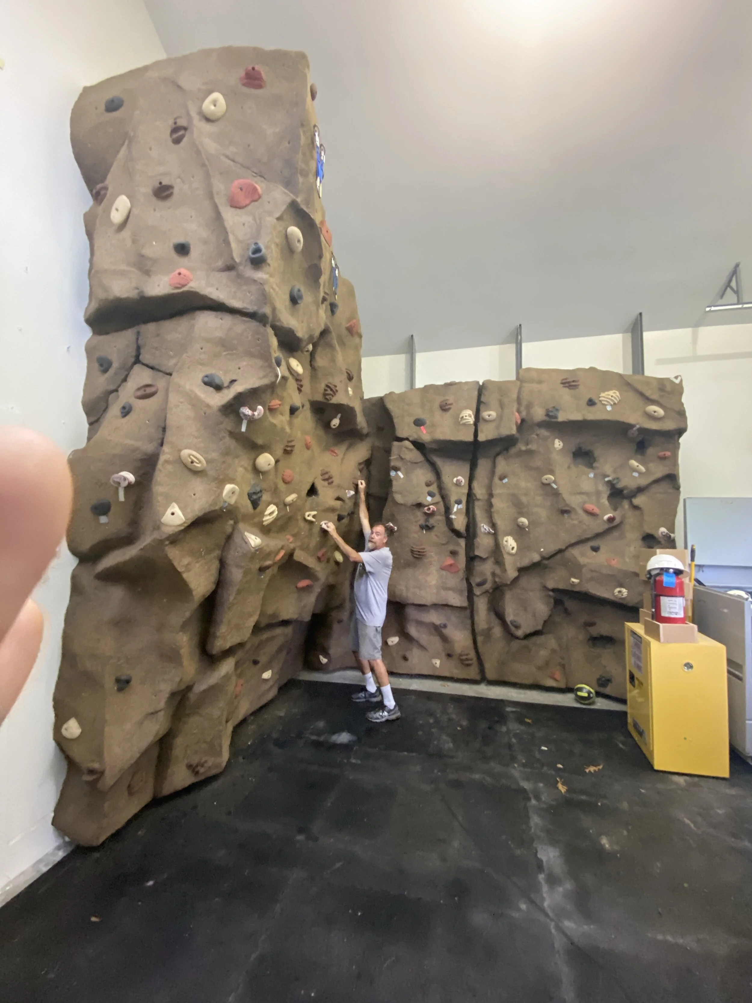 Entreprises Freeform Rock Climbing Wall C812