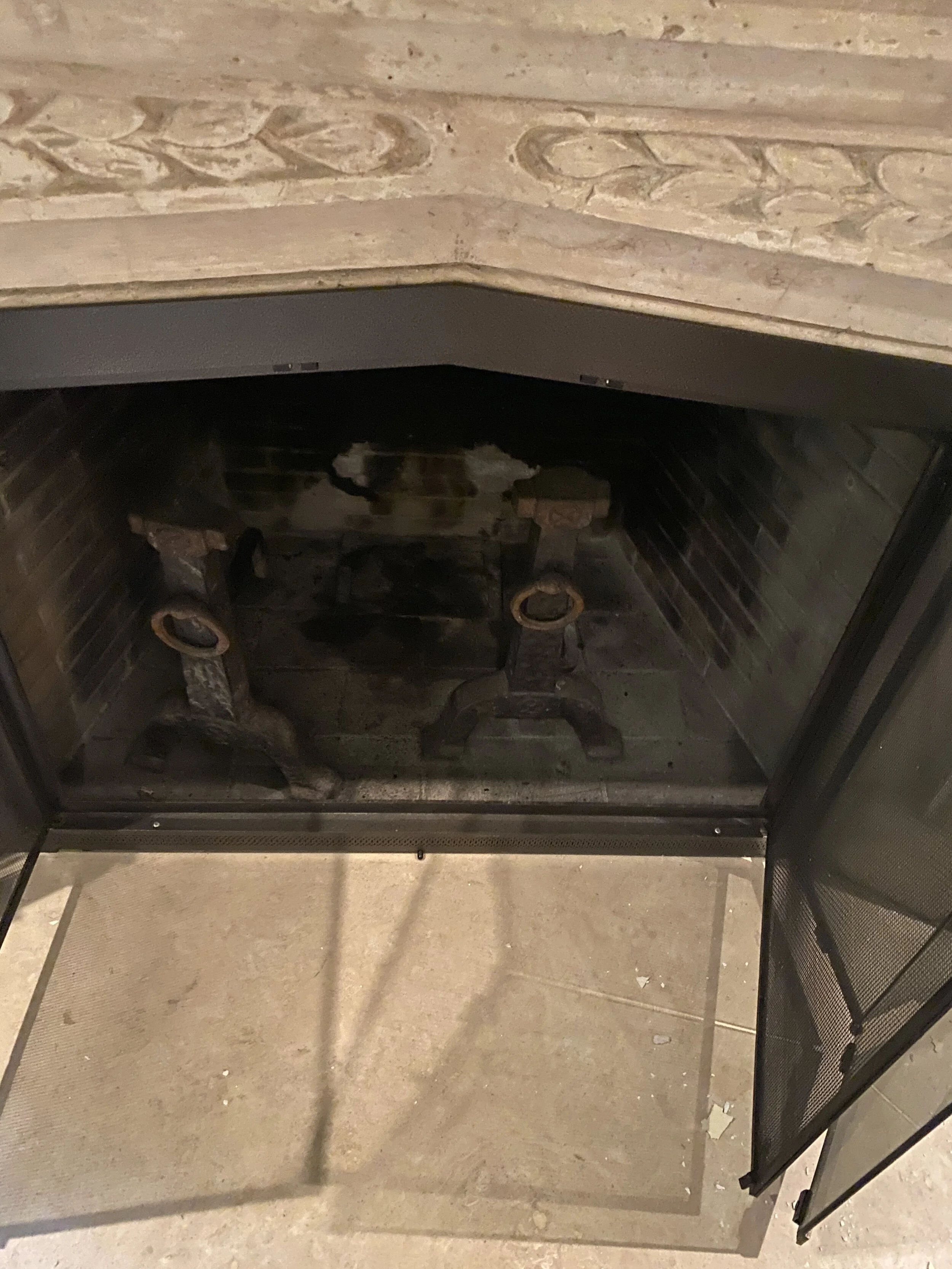 Glass Fireplace Doors D W309