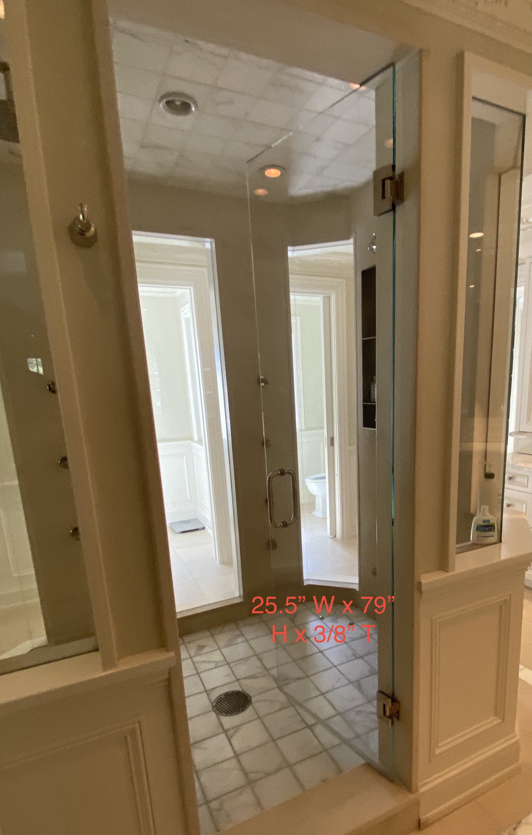 Shower Door M W309