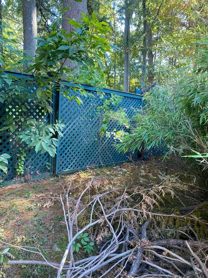 Cedar Lattice Fence Panels W552