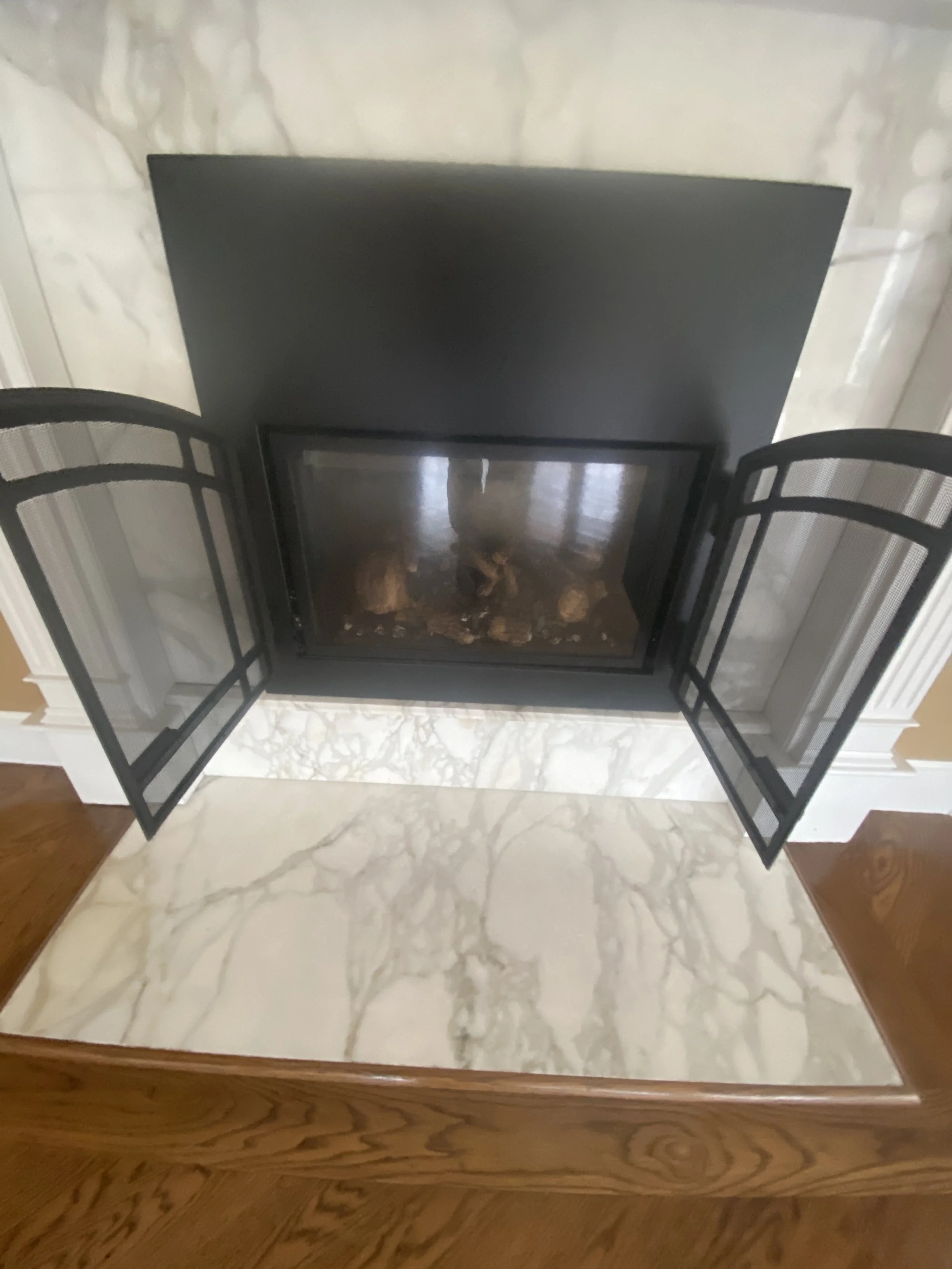 Mendota Liquid Propane Fireplace Insert D143