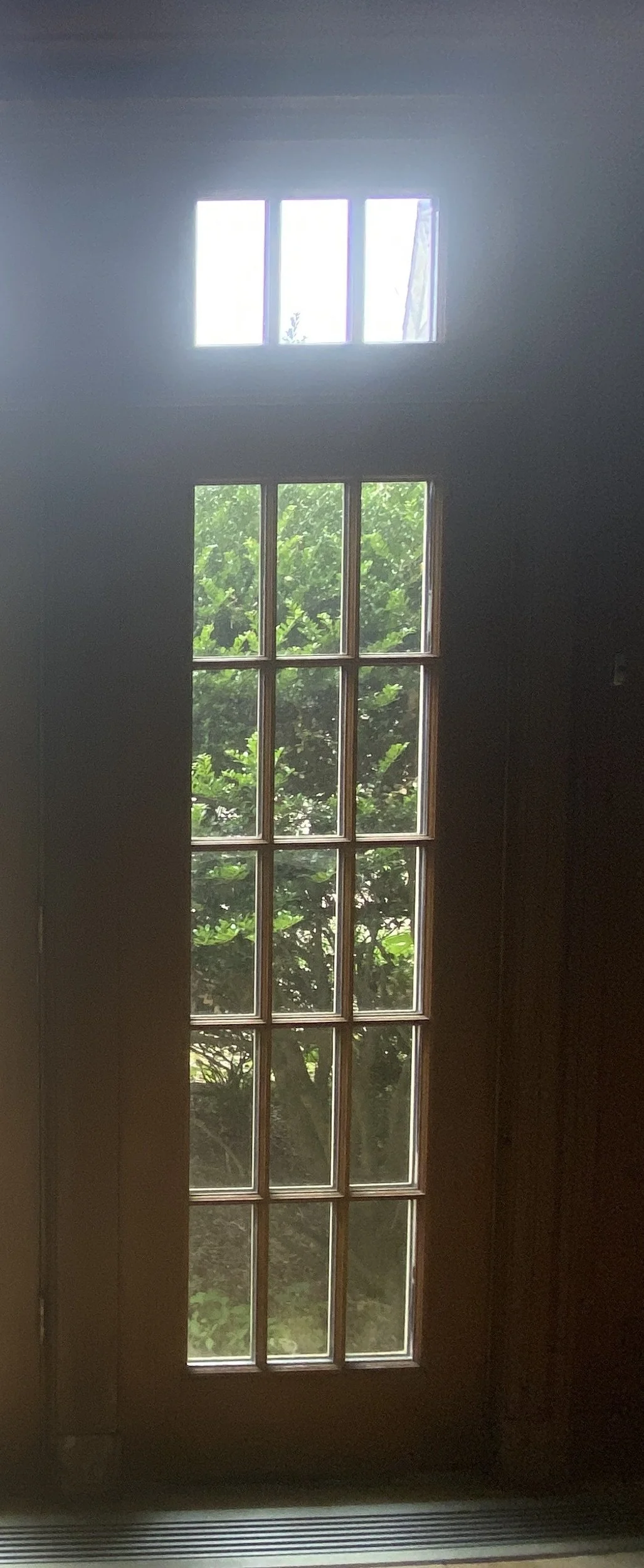 Pella 15 Light Side Light with Transom PH W552