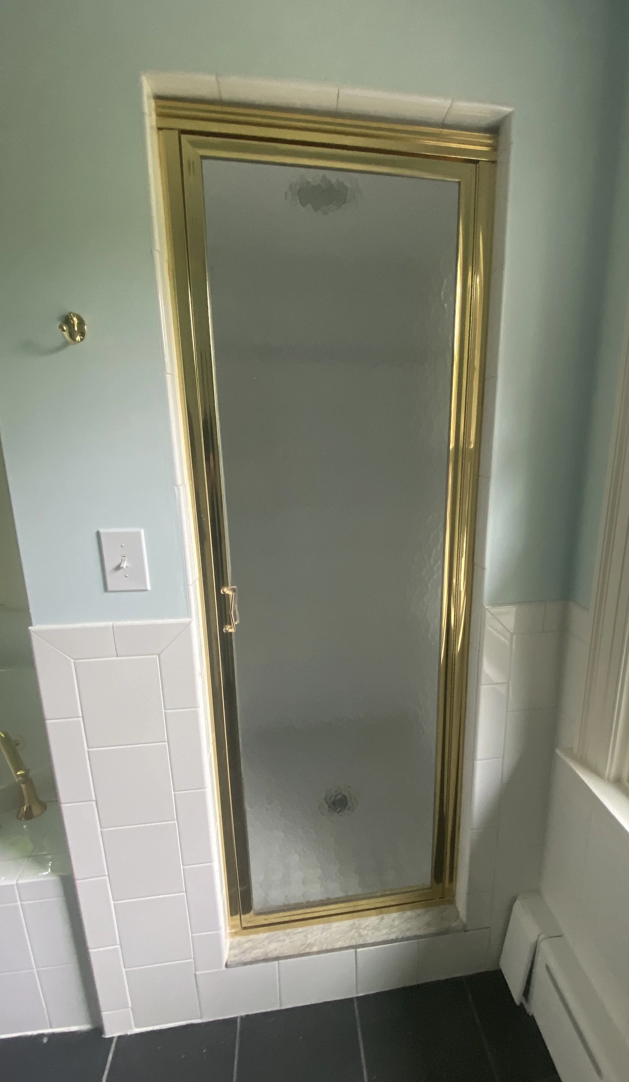 Glass Shower Door C806