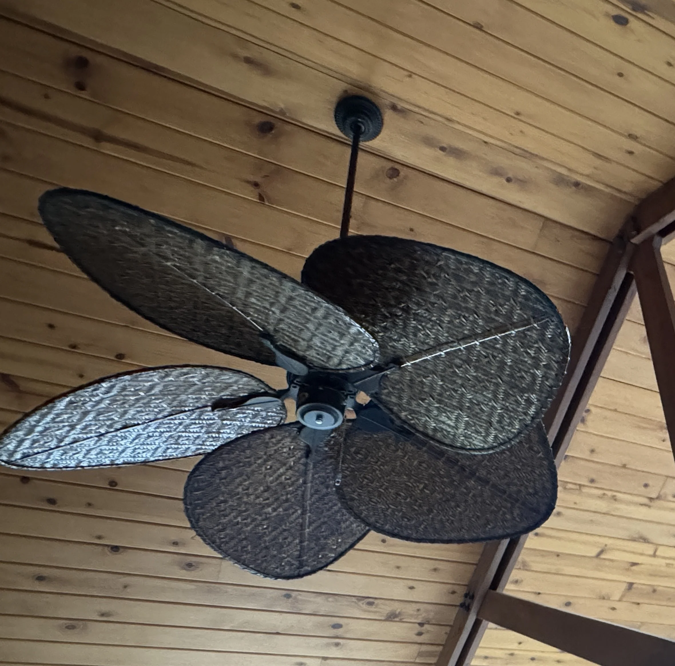 52" Fanimation Windpointe Rust Bamboo C471