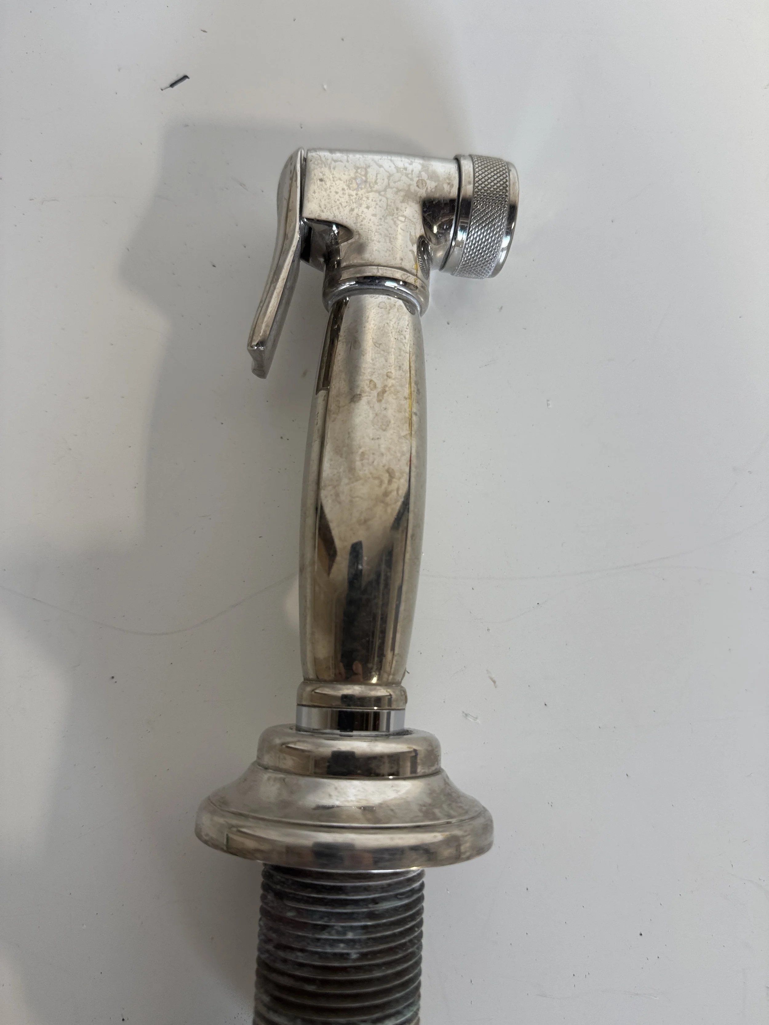 Waterworks Polished Nickel Kitchen Sprayer C812 A