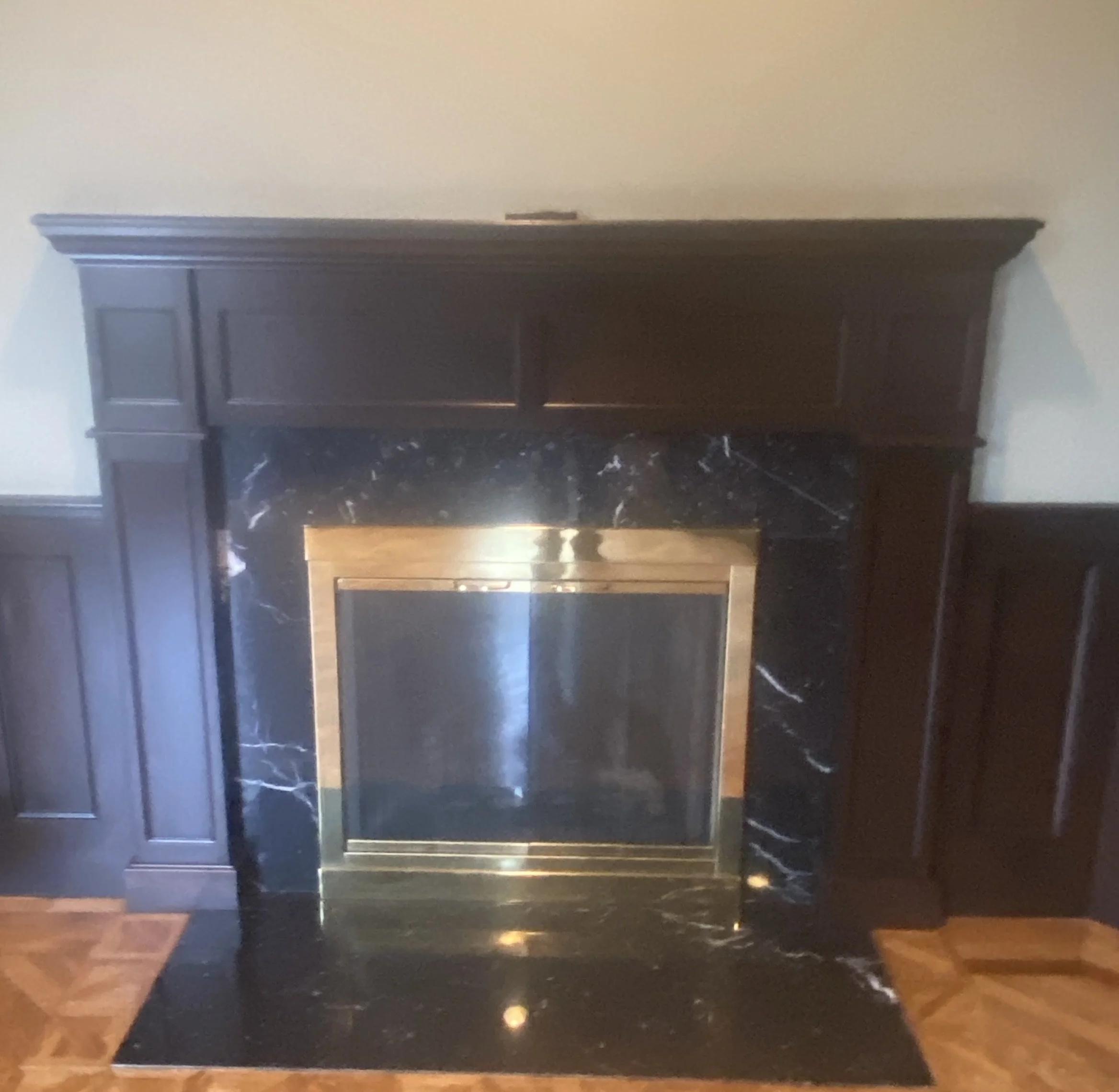 Glass Fireplace Doors D143