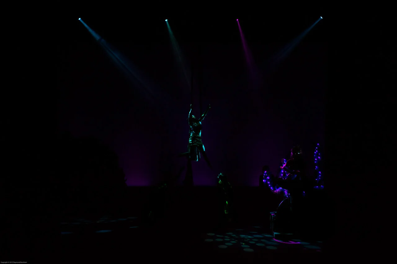 MerAct1-153-X2.jpg