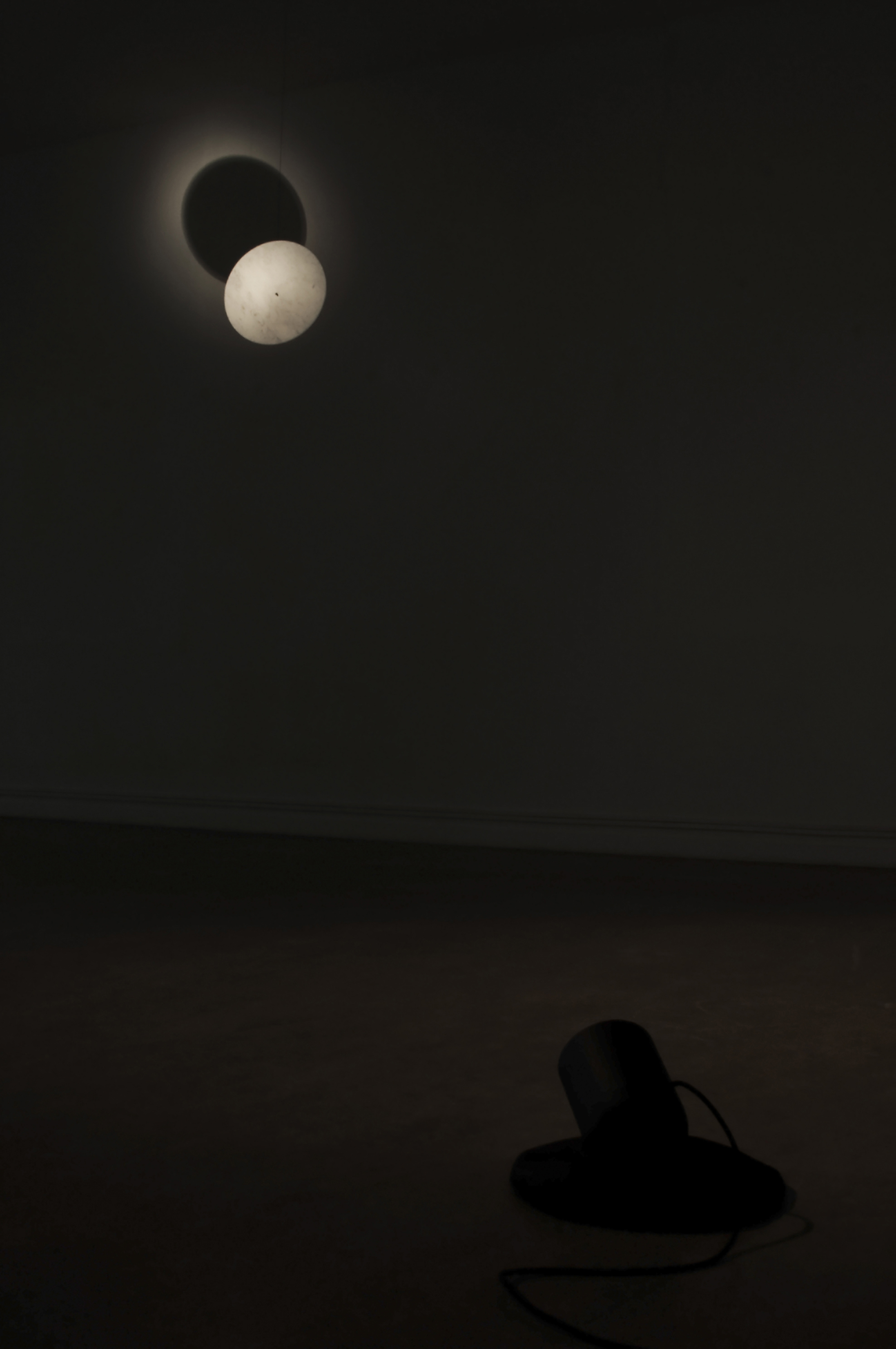Stella. Image courtesy from Geoffroy Gilliant