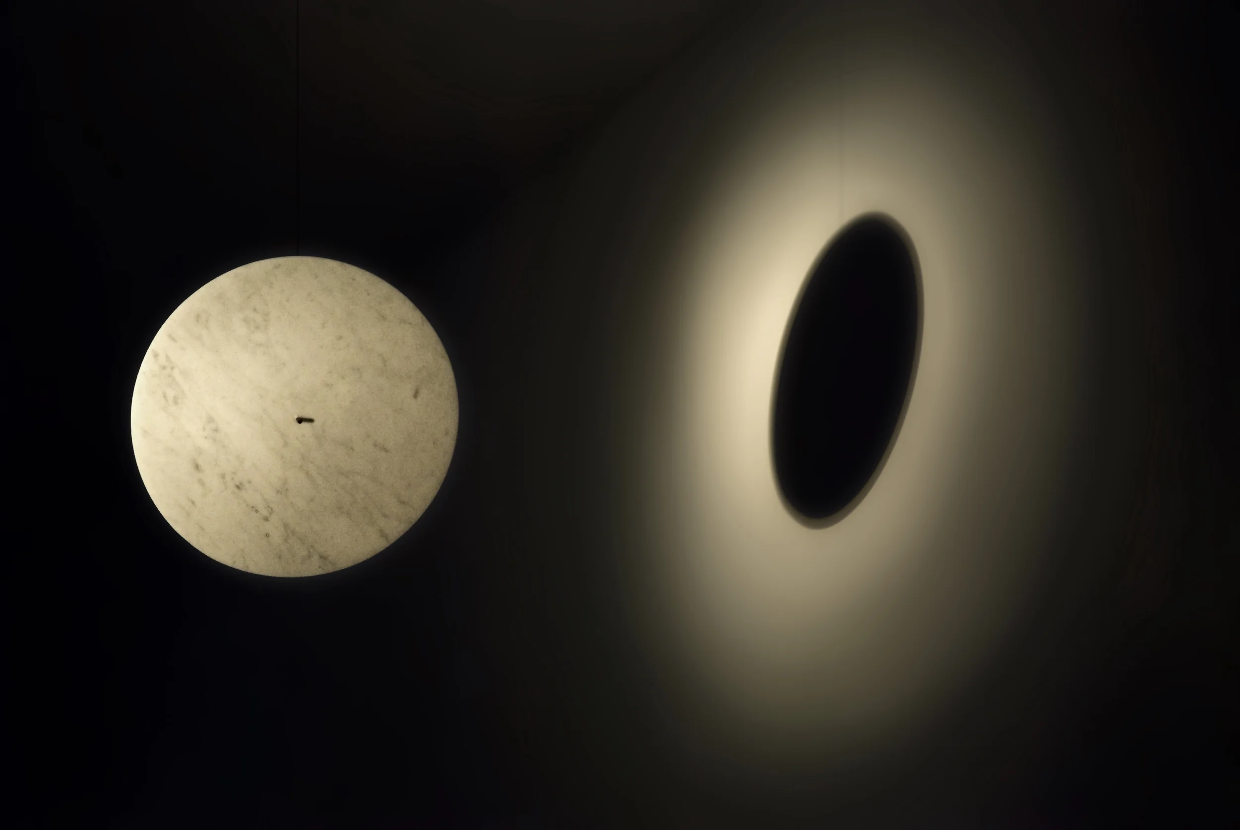 Stella. Image courtesy from Geoffroy Gilliant