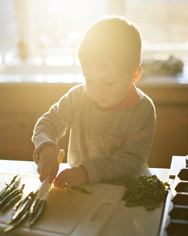 Finn: I wish bees were not real.

Me: why?

Finn: because I don&rsquo;t like being stingged.

Me: have you ever been stung?

Finn: no.

Conversations with kids.