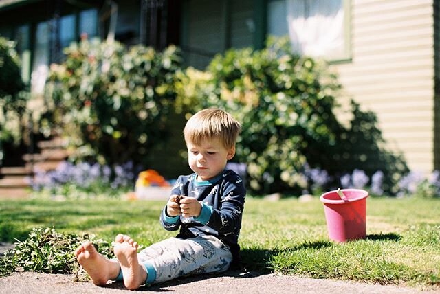 Finn will just sit for hours and play in dirt. Another photo at our rental green house. We played in this front yard space all the time and got to know our neighbors very well. The neighbors are the one thing we miss about moving out of that house.